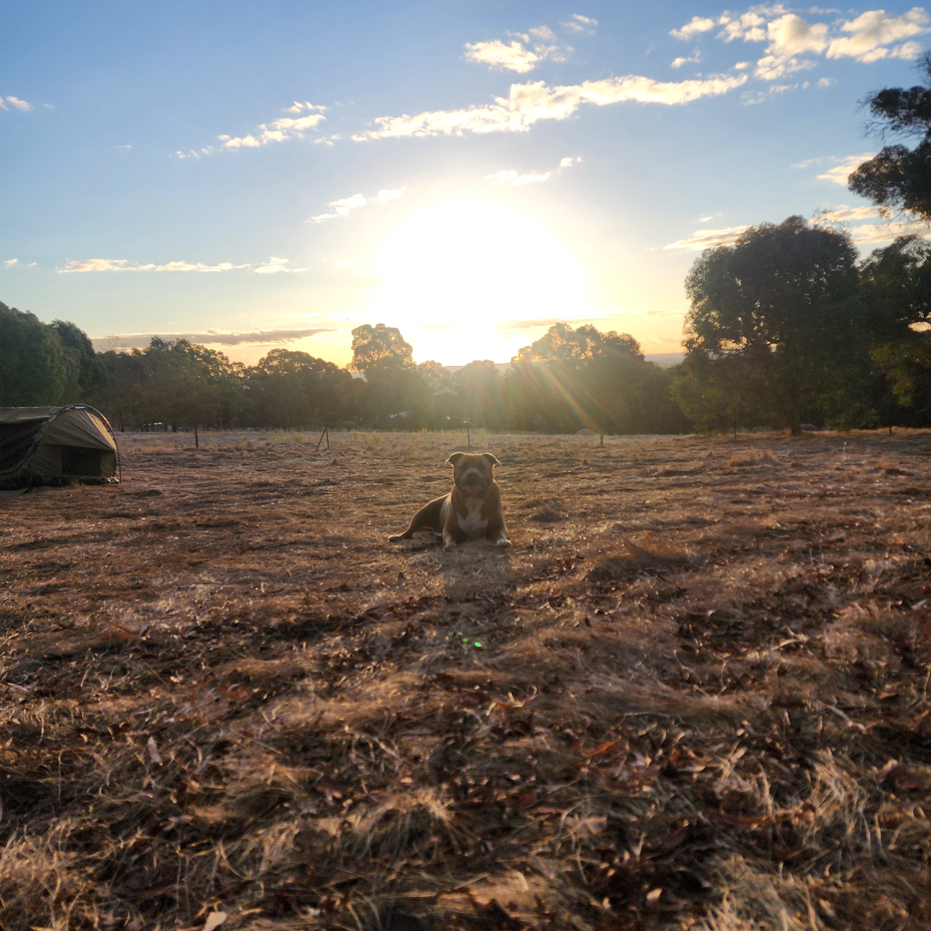 Darling Range Retreat