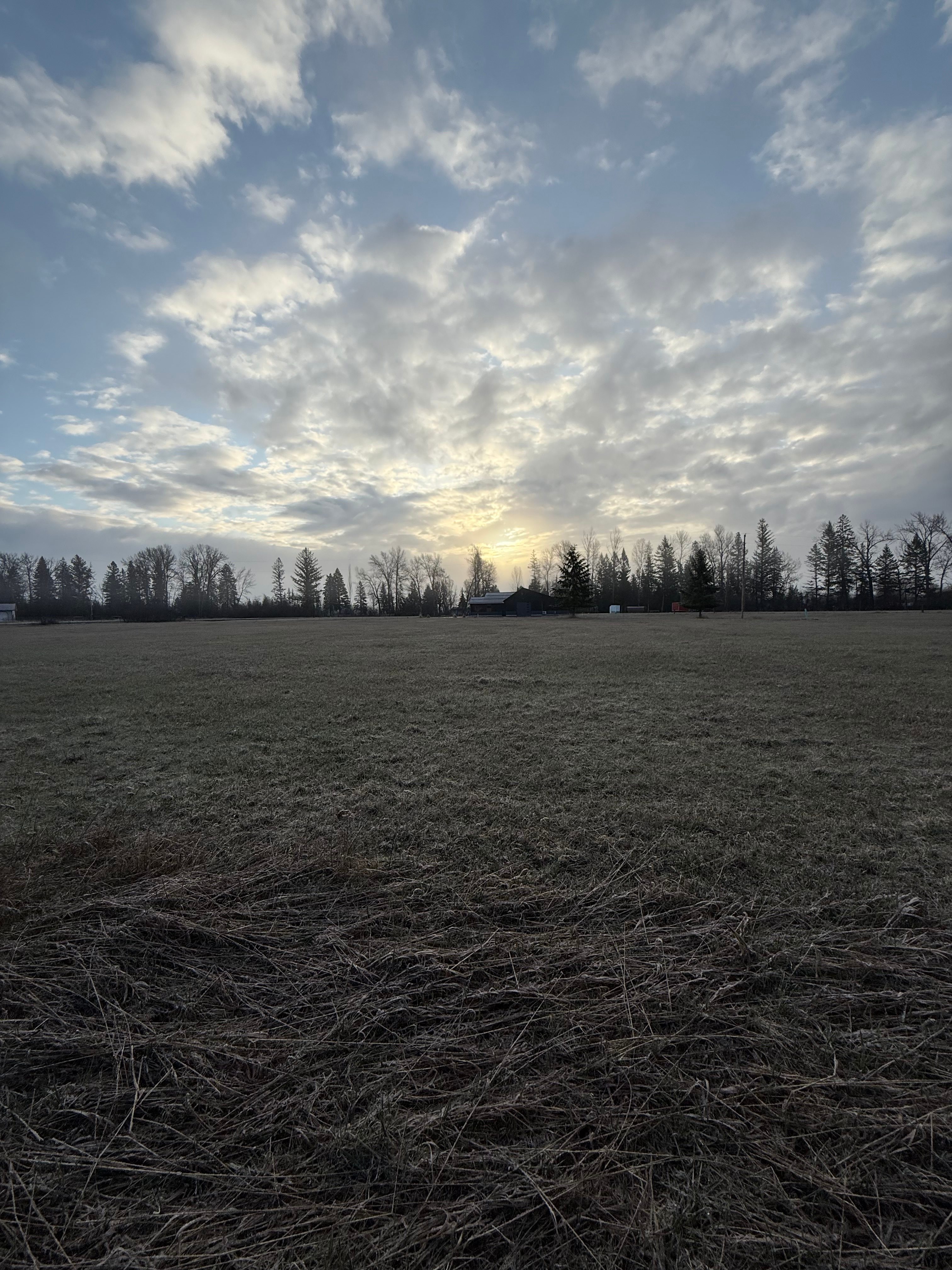 Swan Mountain View in the Valley