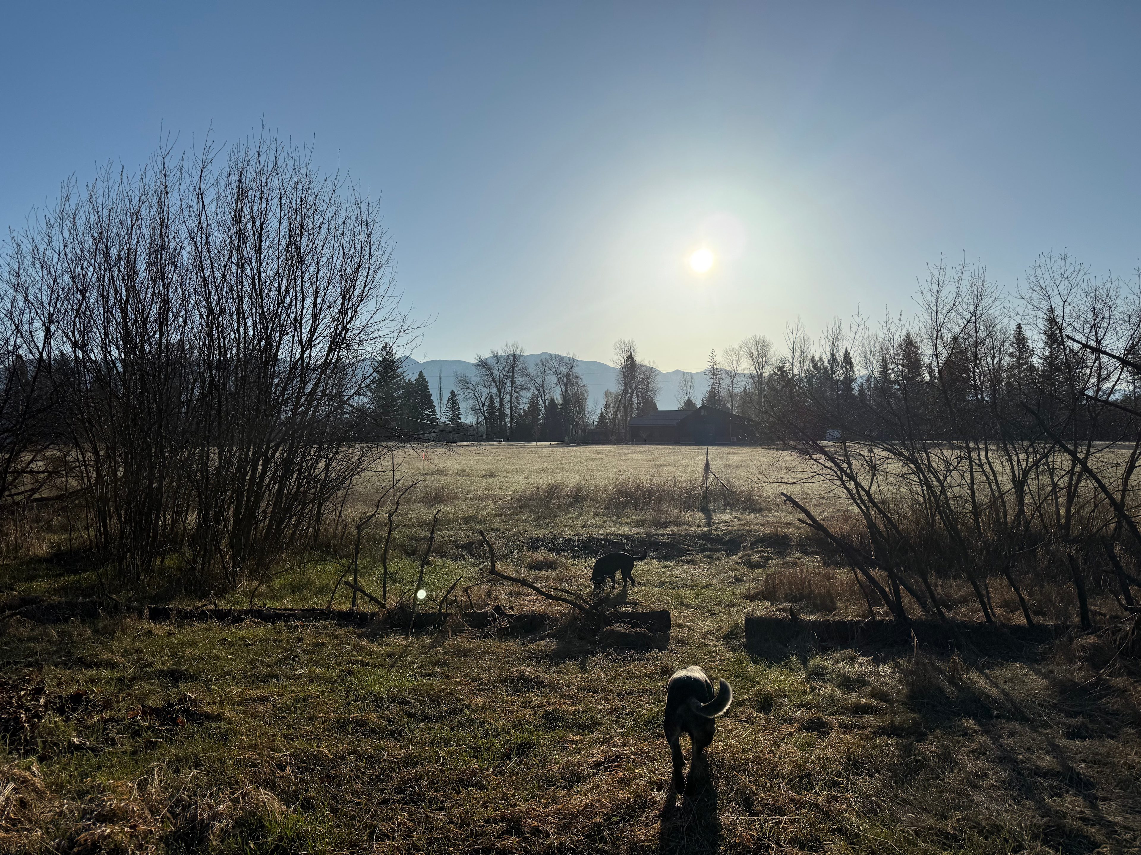 Swan Mountain View in the Valley