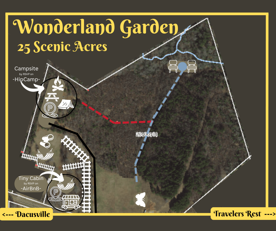Wonderland Garden
