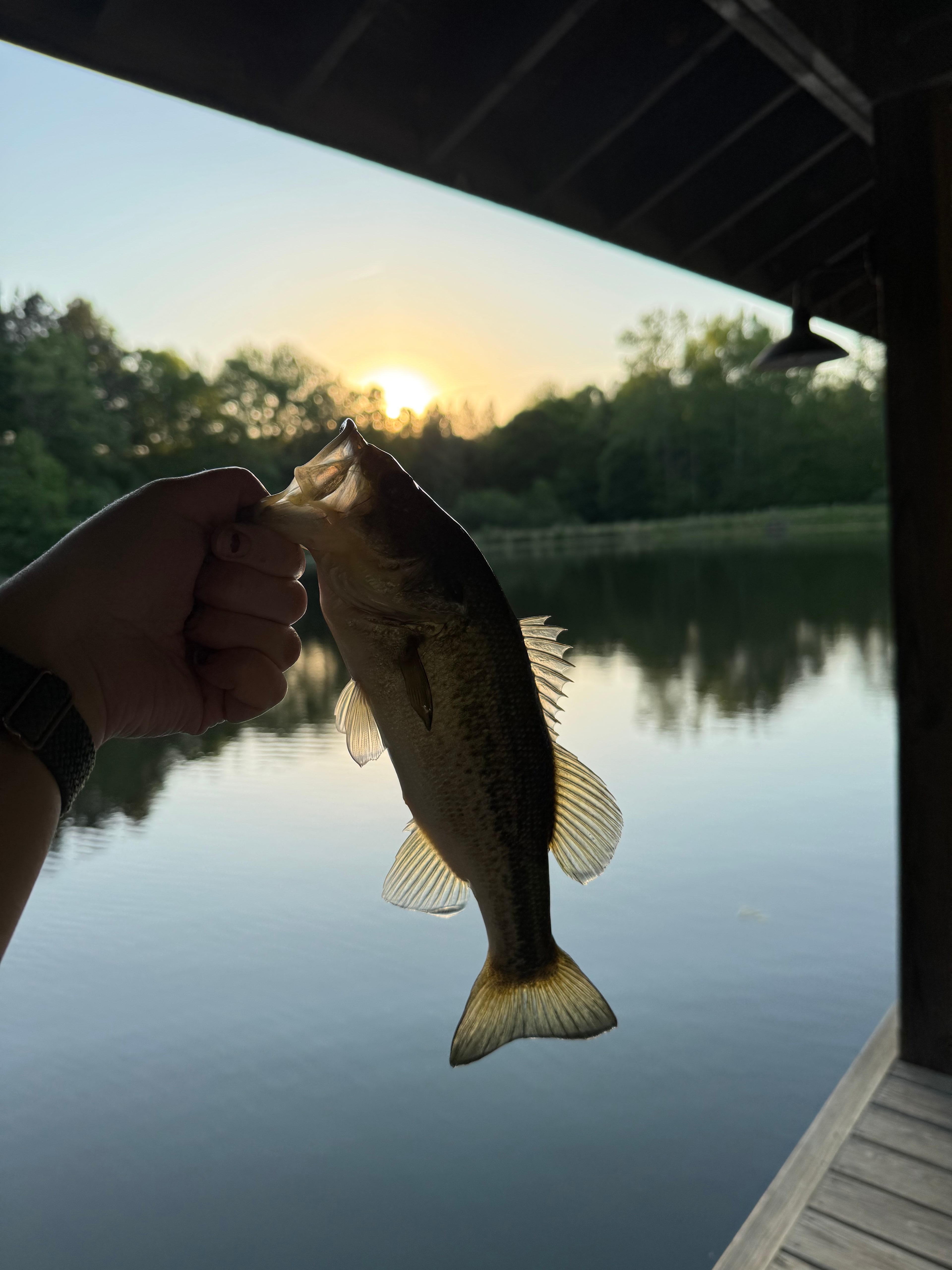 Mike's country home and land