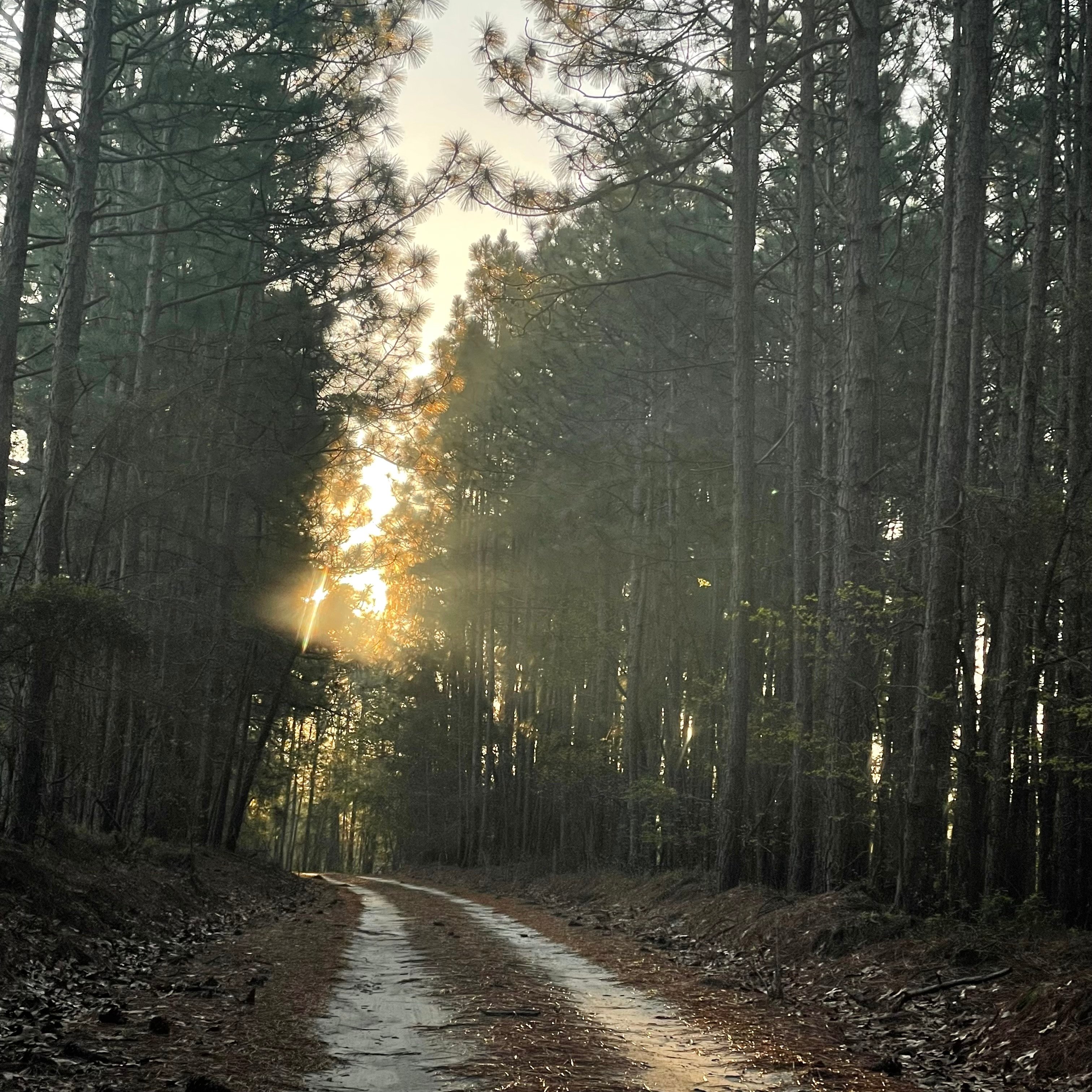 Camp, Mountain bike, Disc golf.