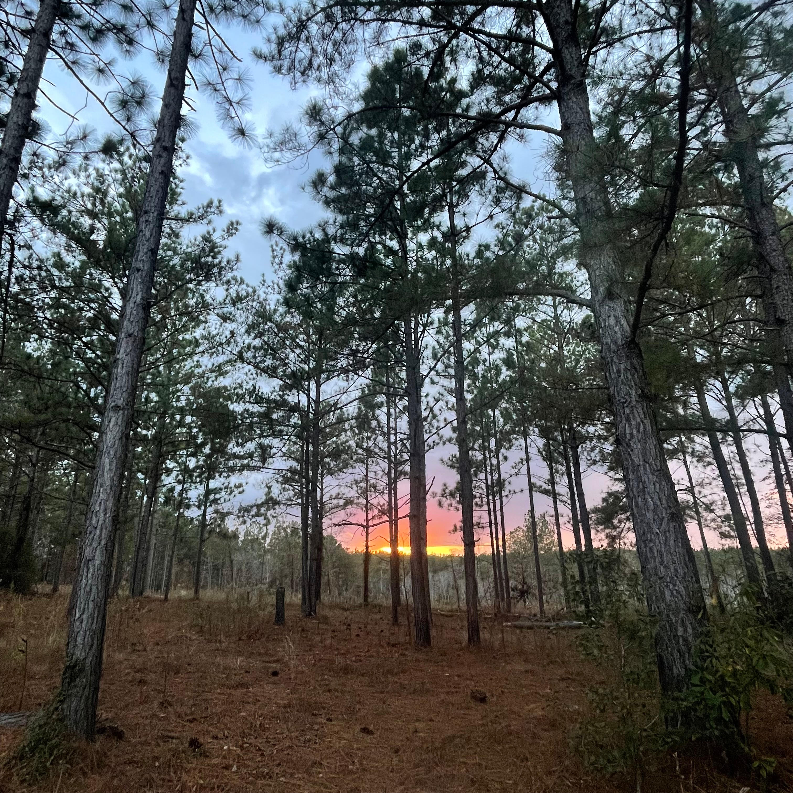 Camp, Mountain bike, Disc golf.
