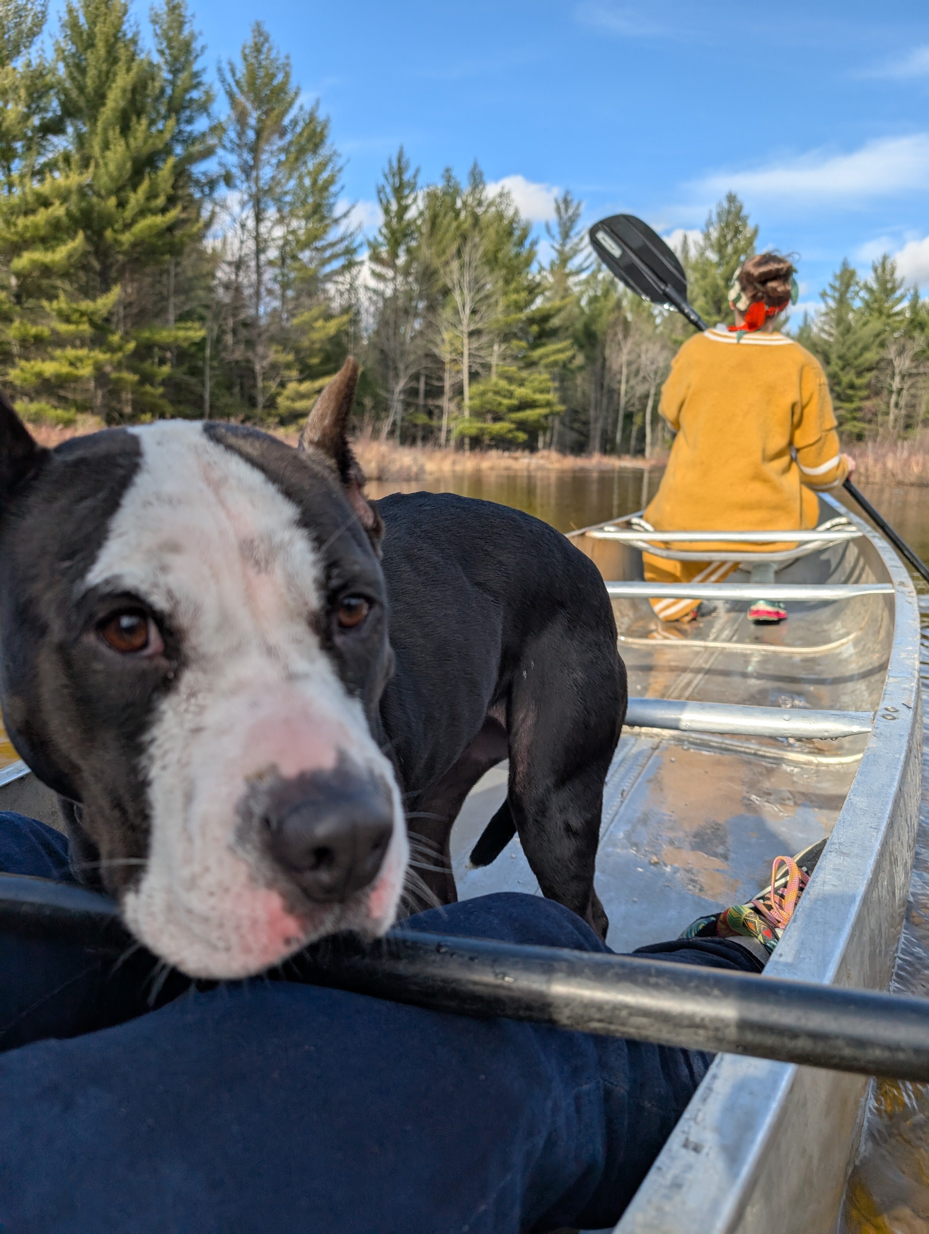 CUT RIVER CABIN AT HIGGINS LAKE