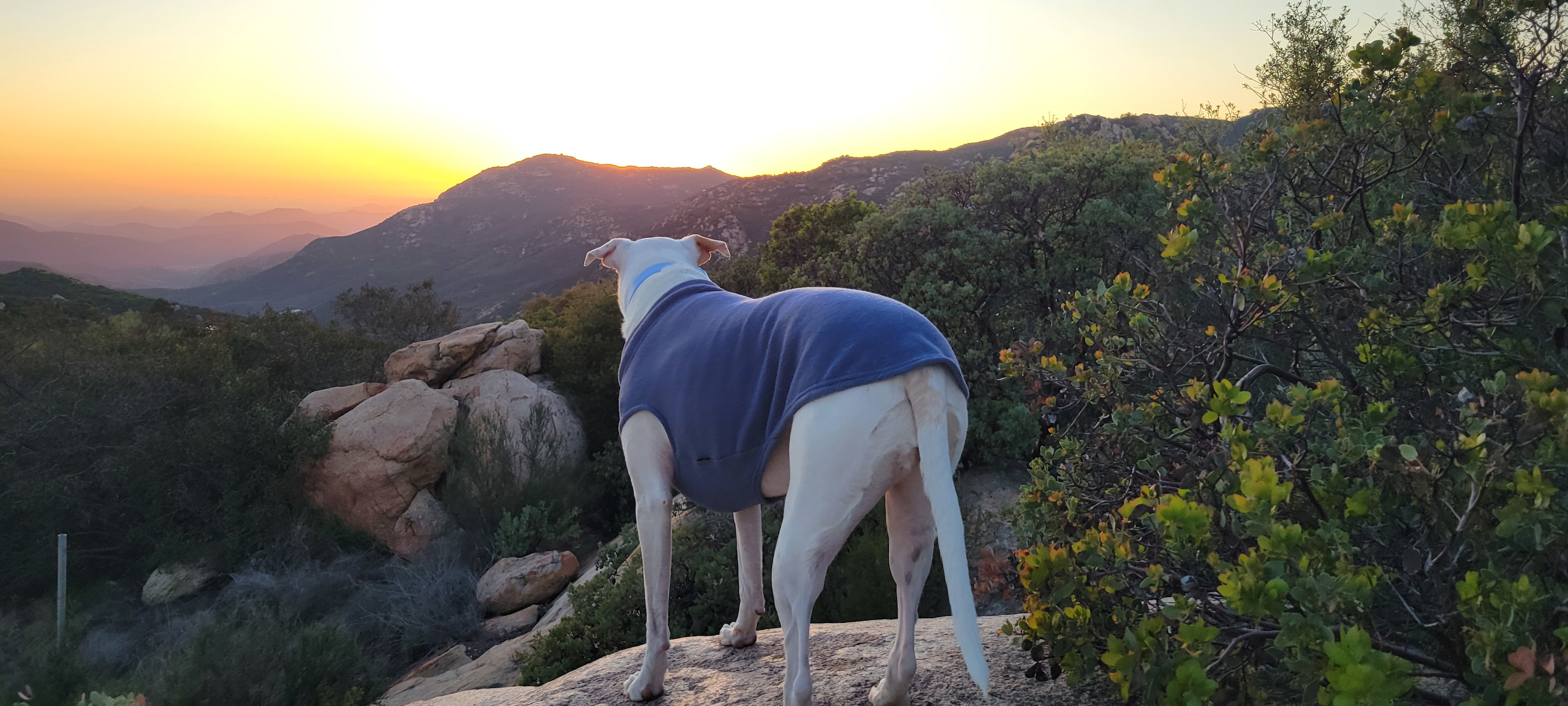 Glamp in Tiny Cabin #2