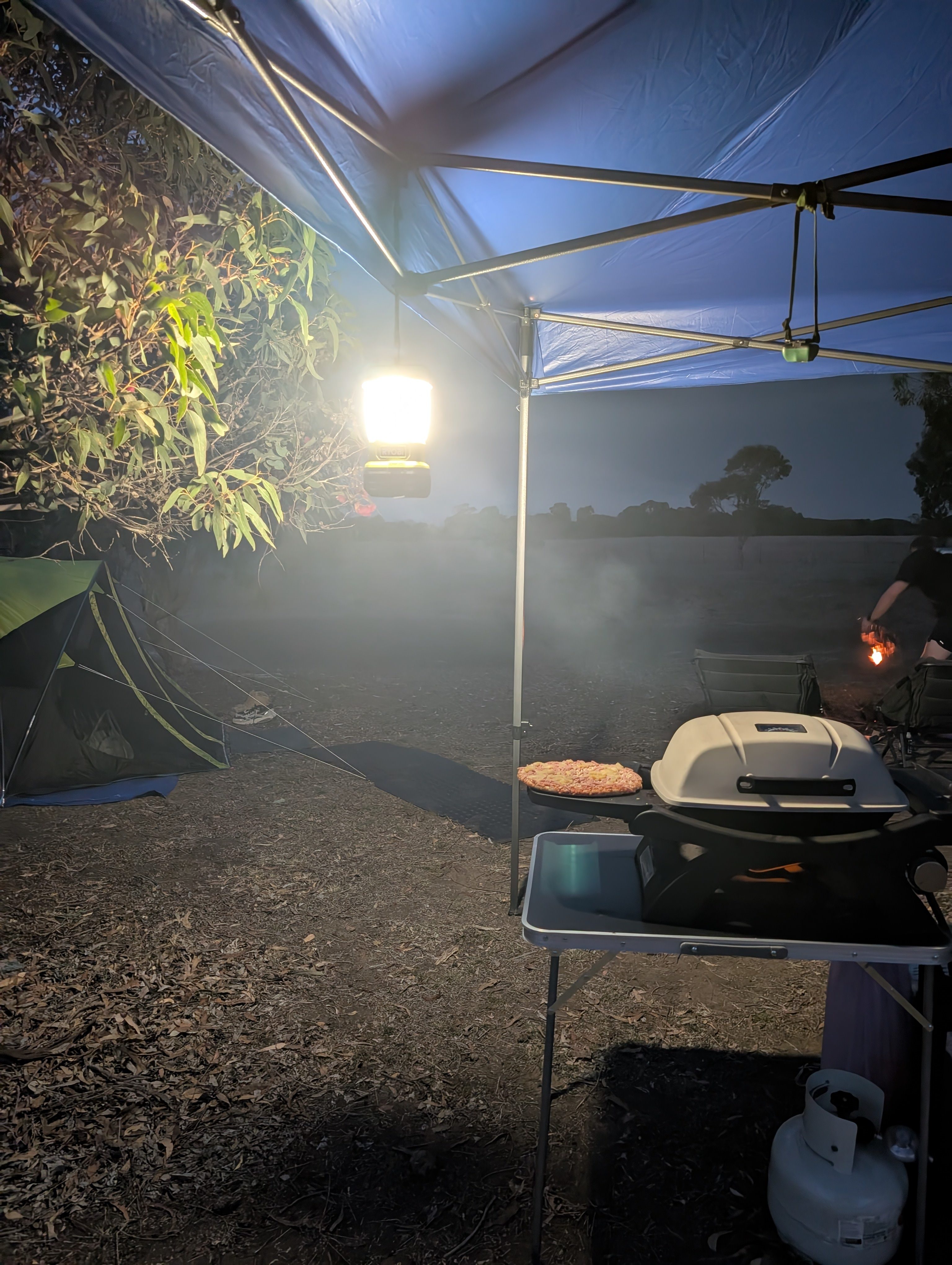 Reedy lakes farm stay