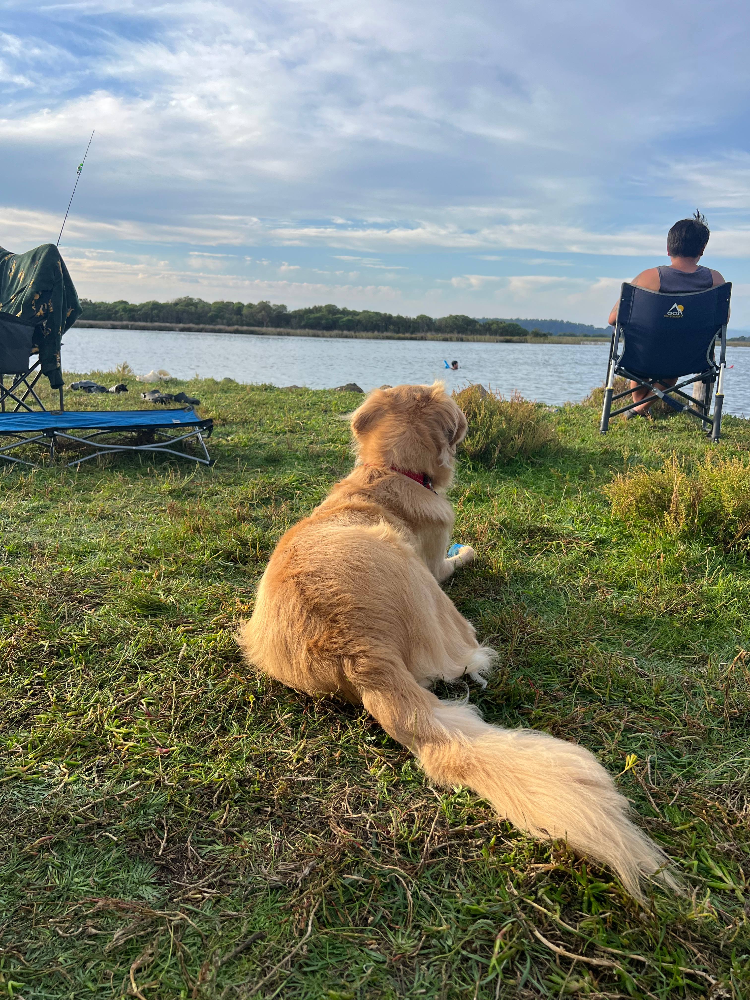 Snowy River Frontage Great Fishing