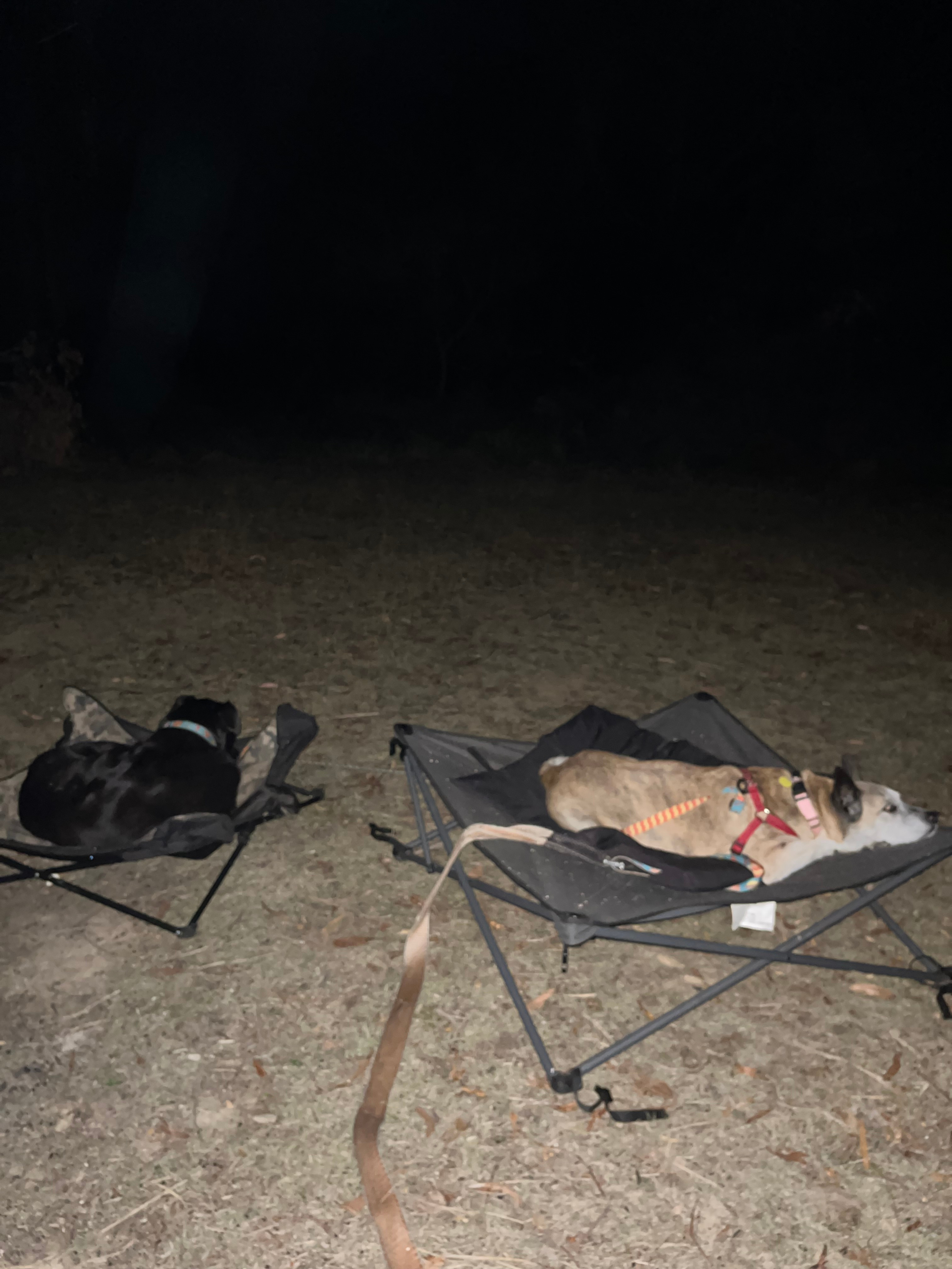 Bruny Island Bush Camp