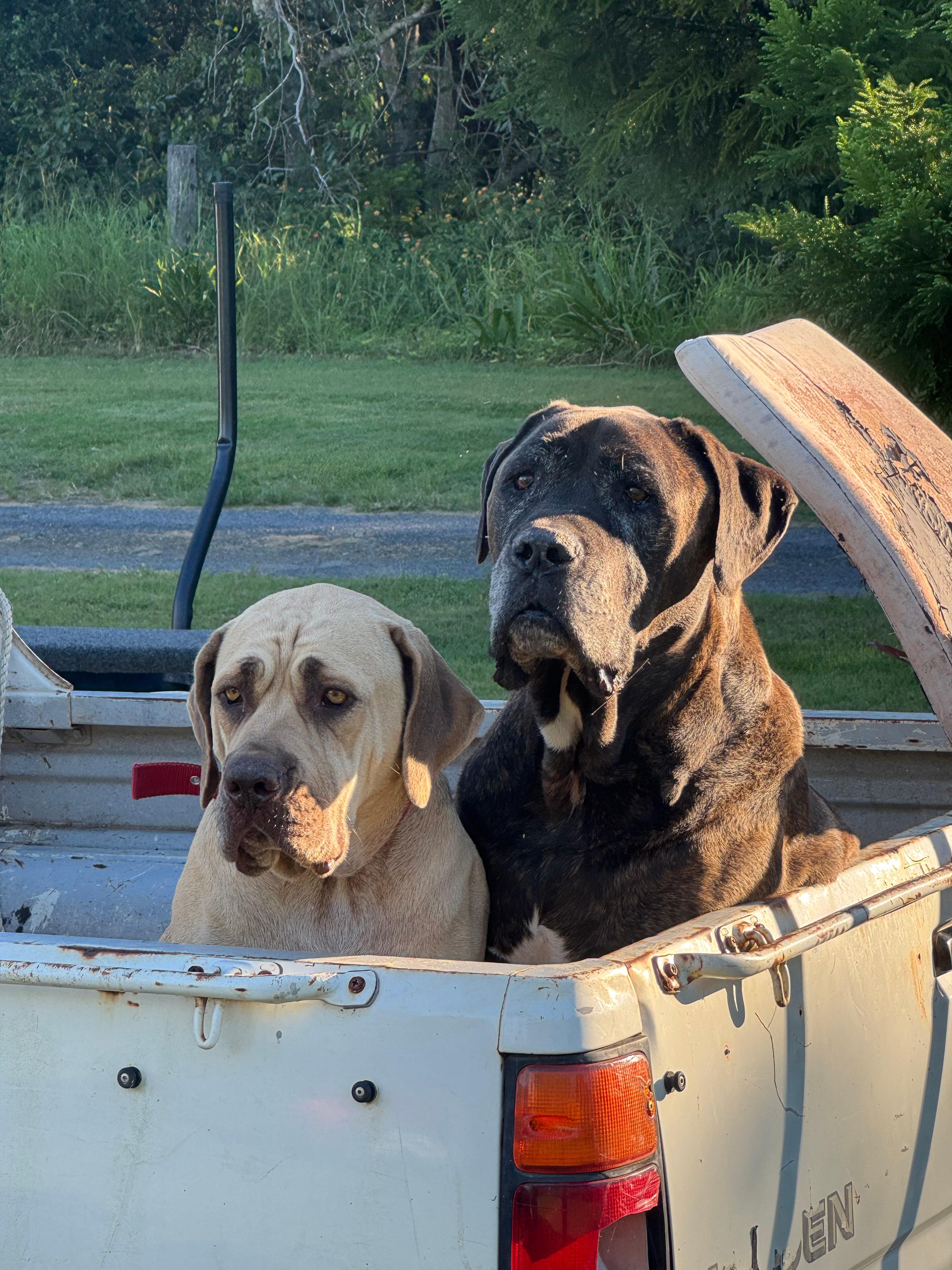 Platypus Park Riverside Retreat