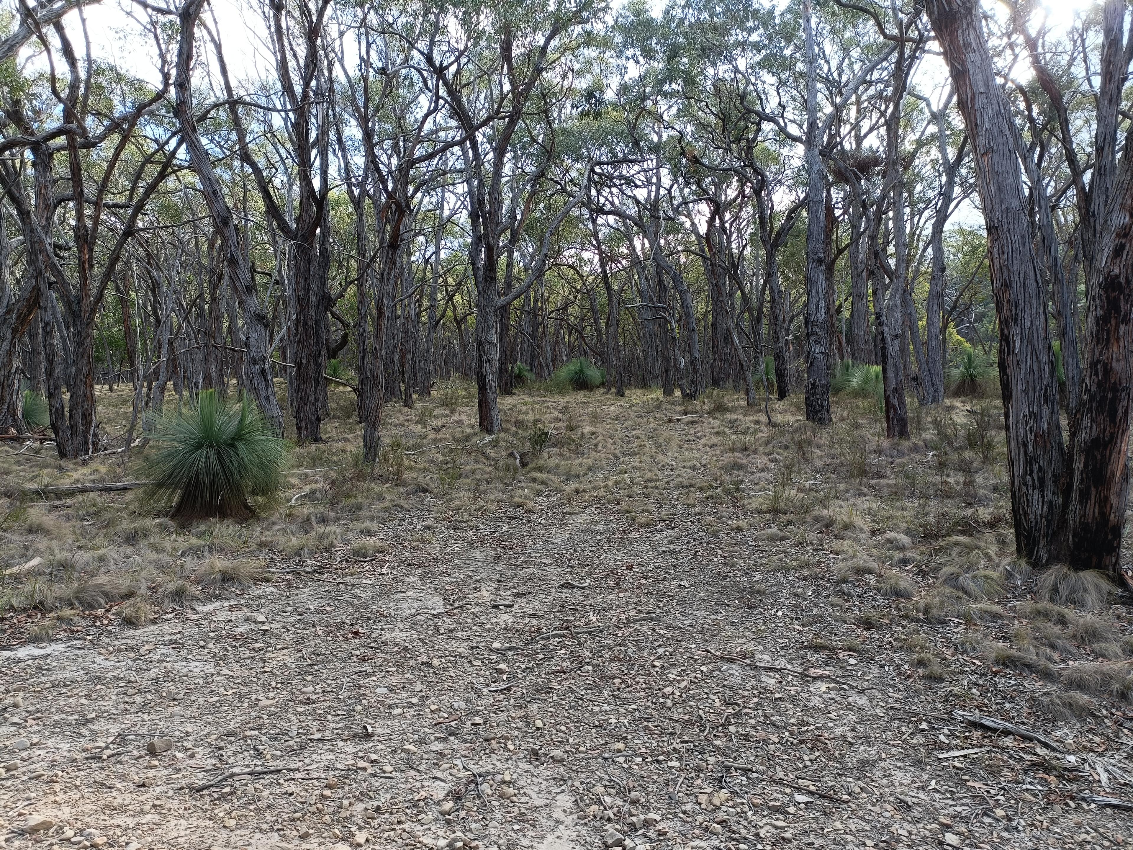 Barrm Birrm Park