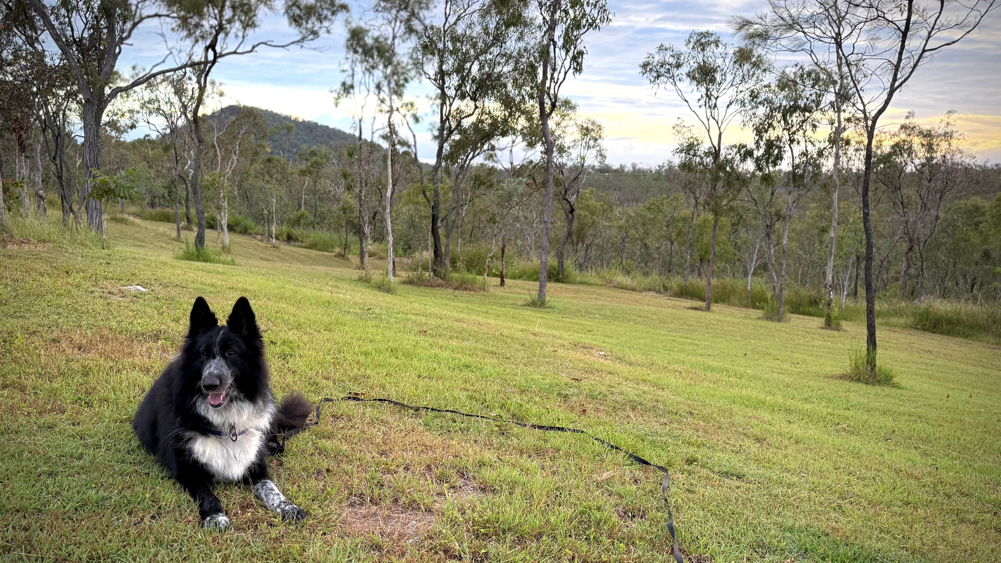 Mareeba Caravan Park