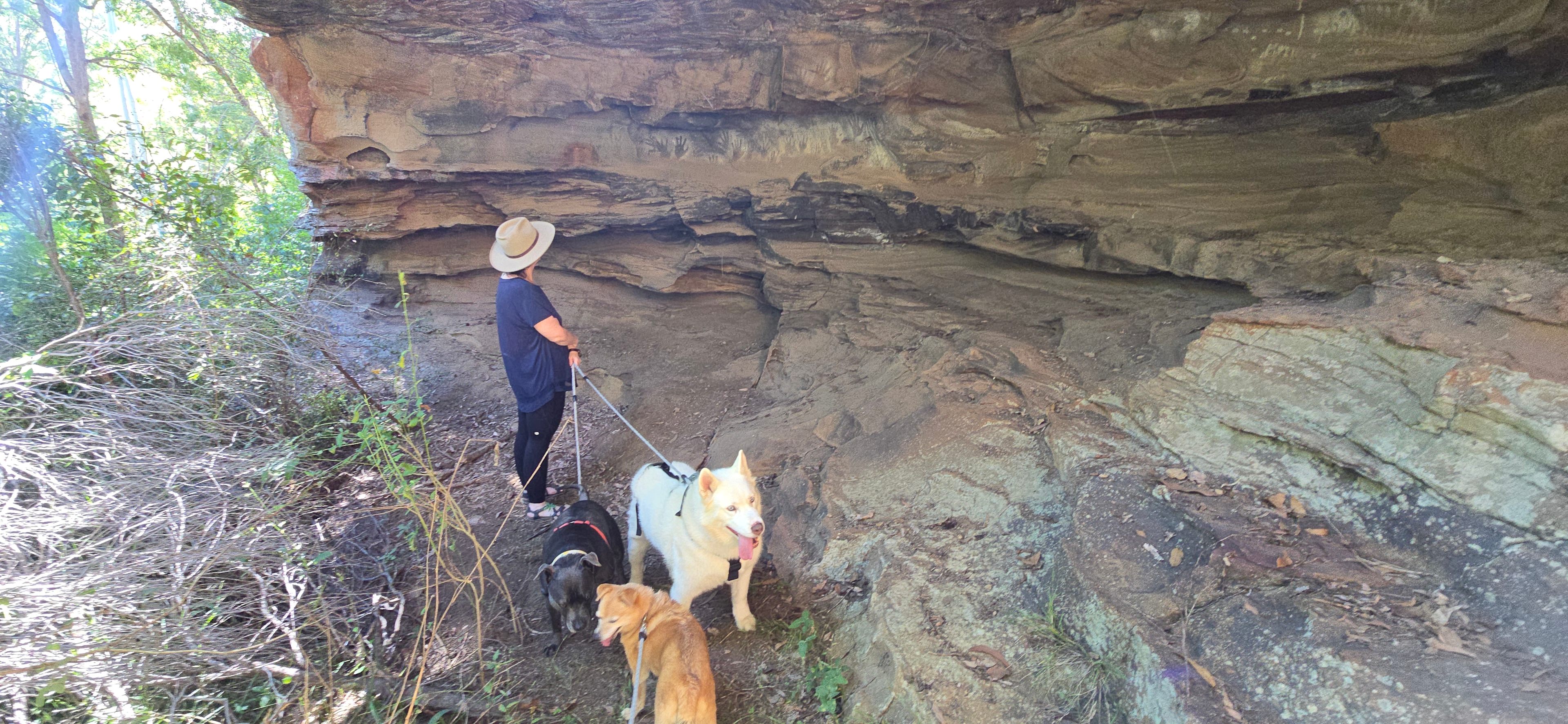 Wollombi Private Earthways camp