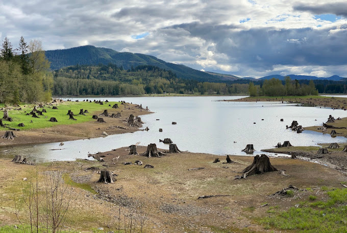 Alder Lake Park