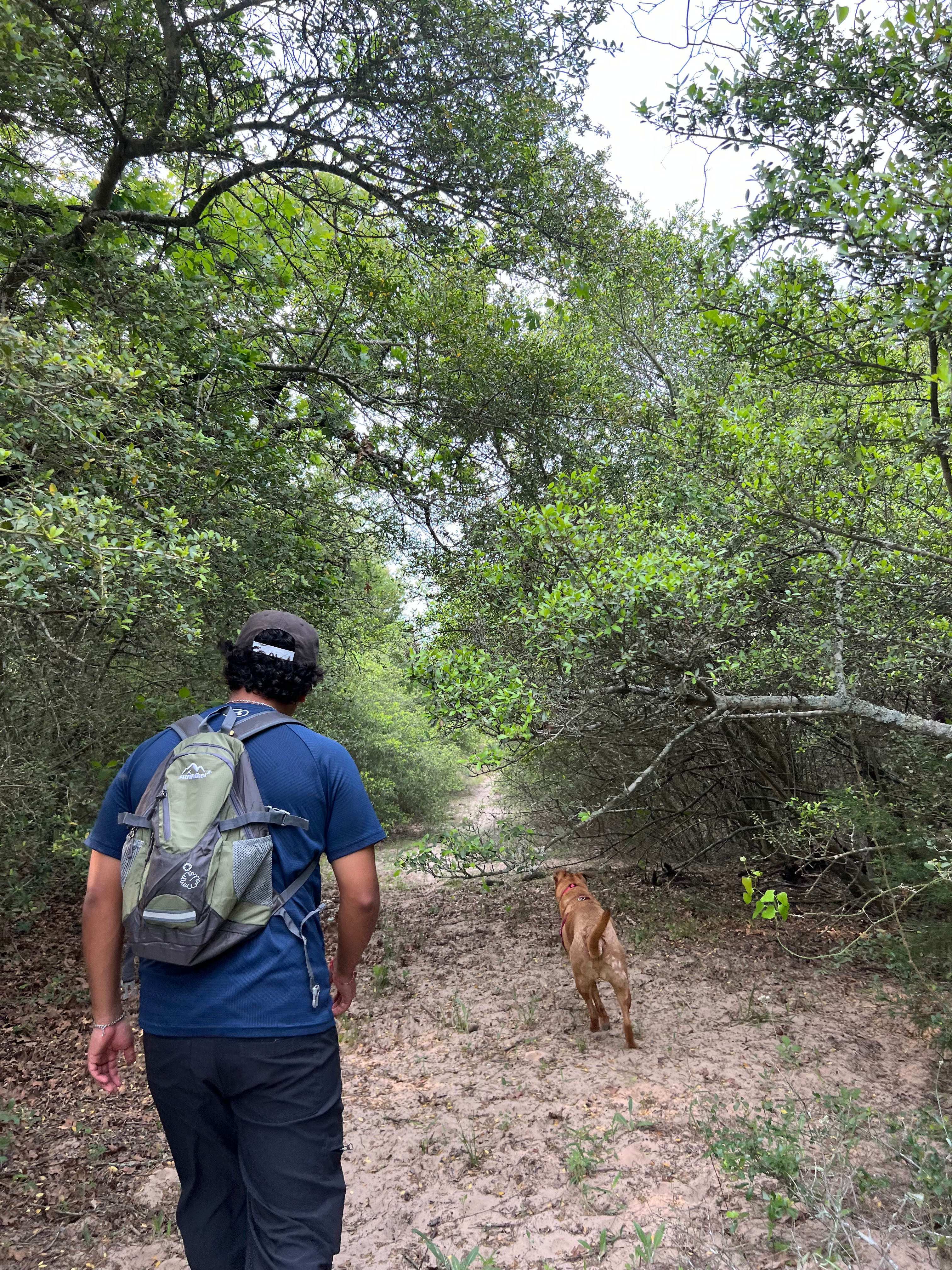 Haven Retreat Lake & Woods Camping