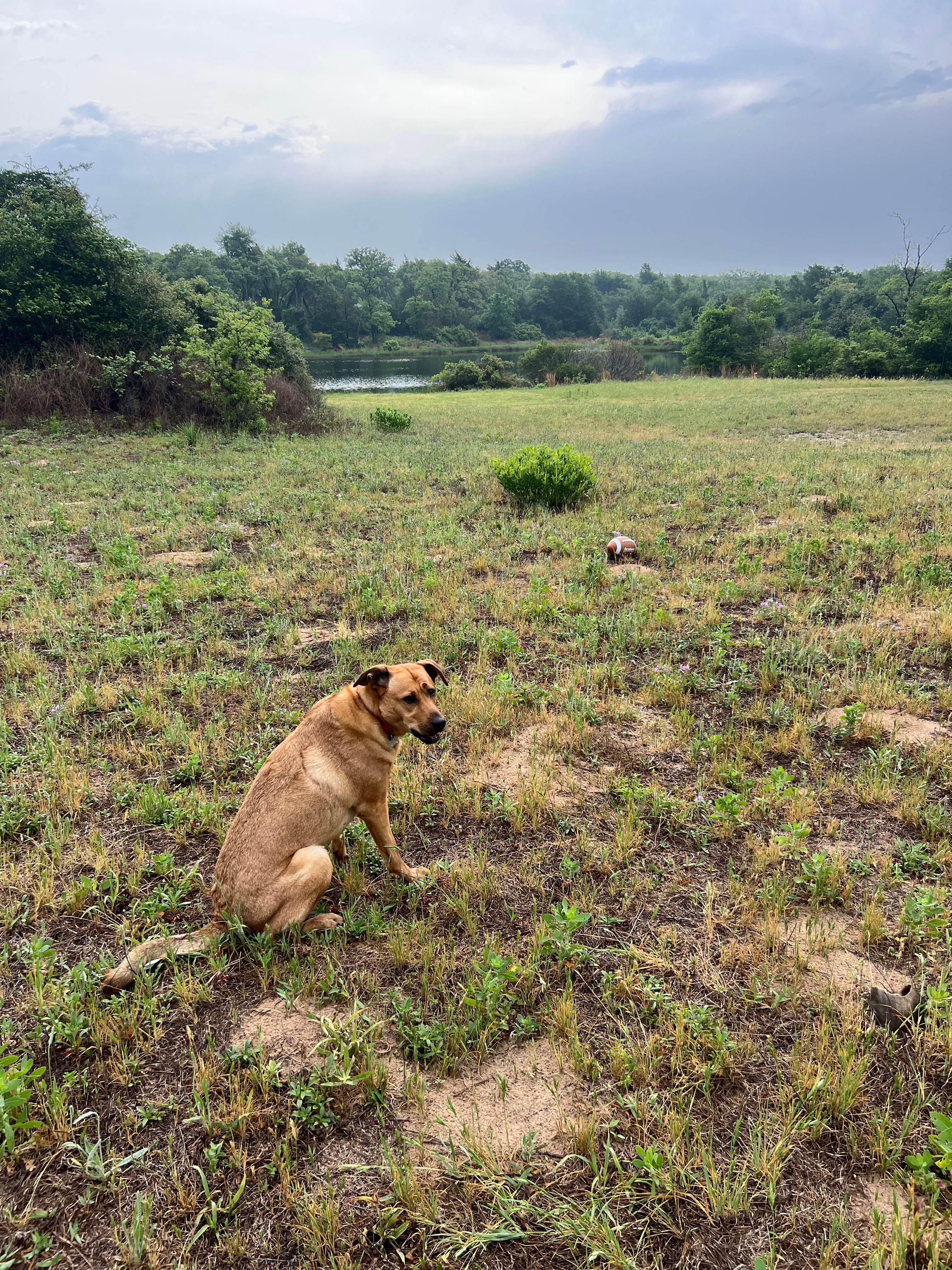 Haven Retreat Lake & Woods Camping