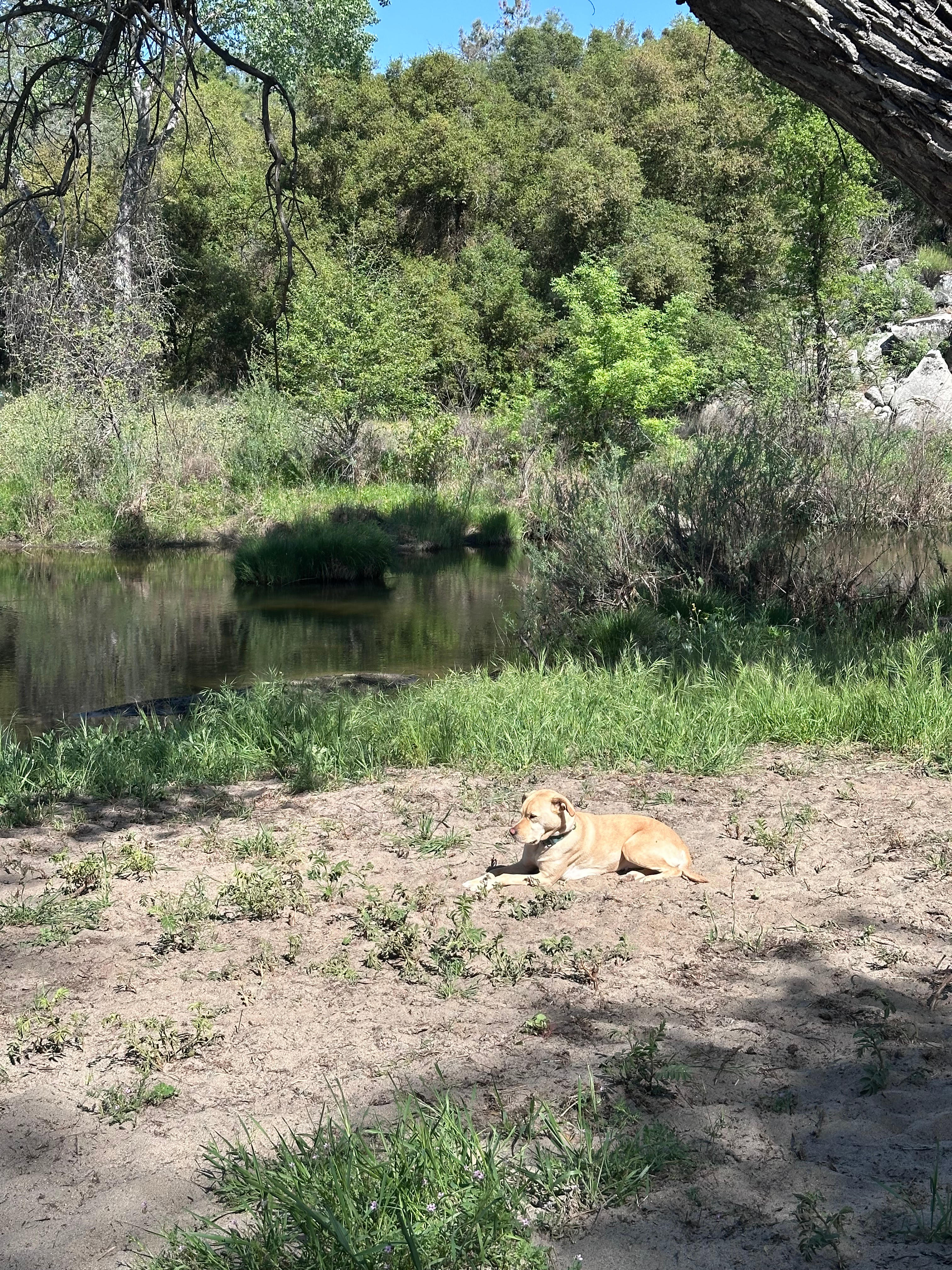 San Pedro Ranch