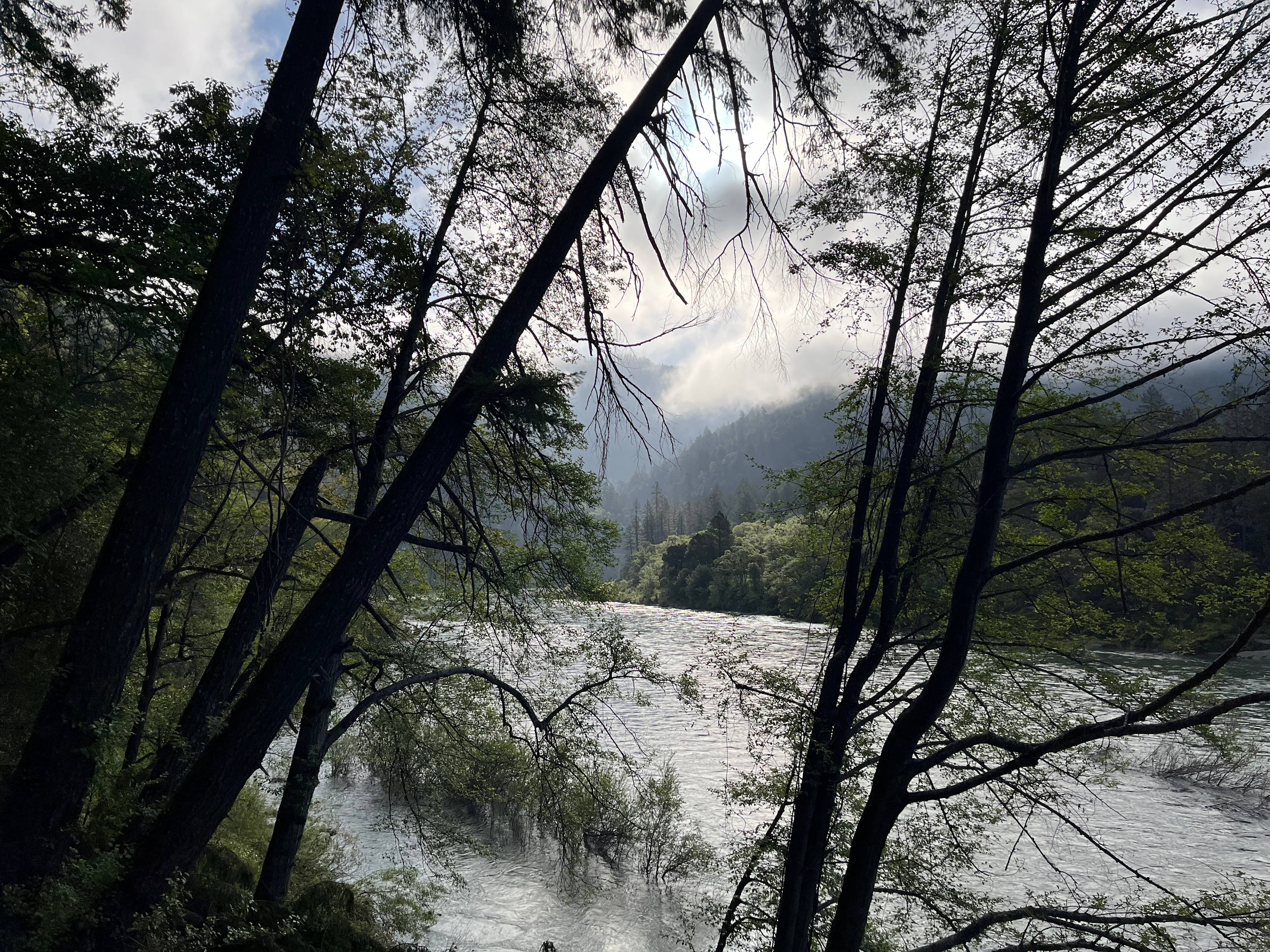 Cool picture from the hike to the river. 