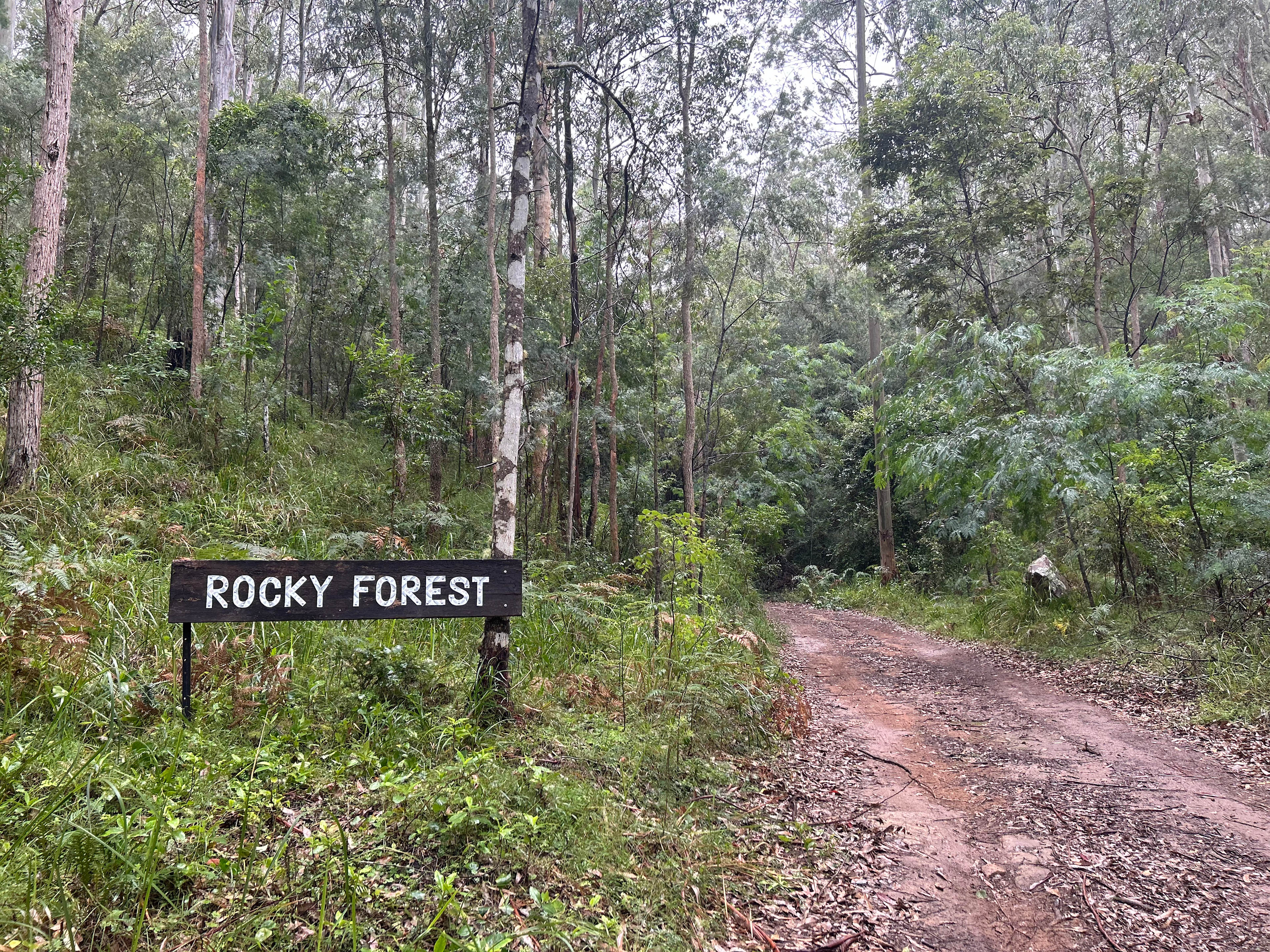 Rocky Forest Bush Retreat