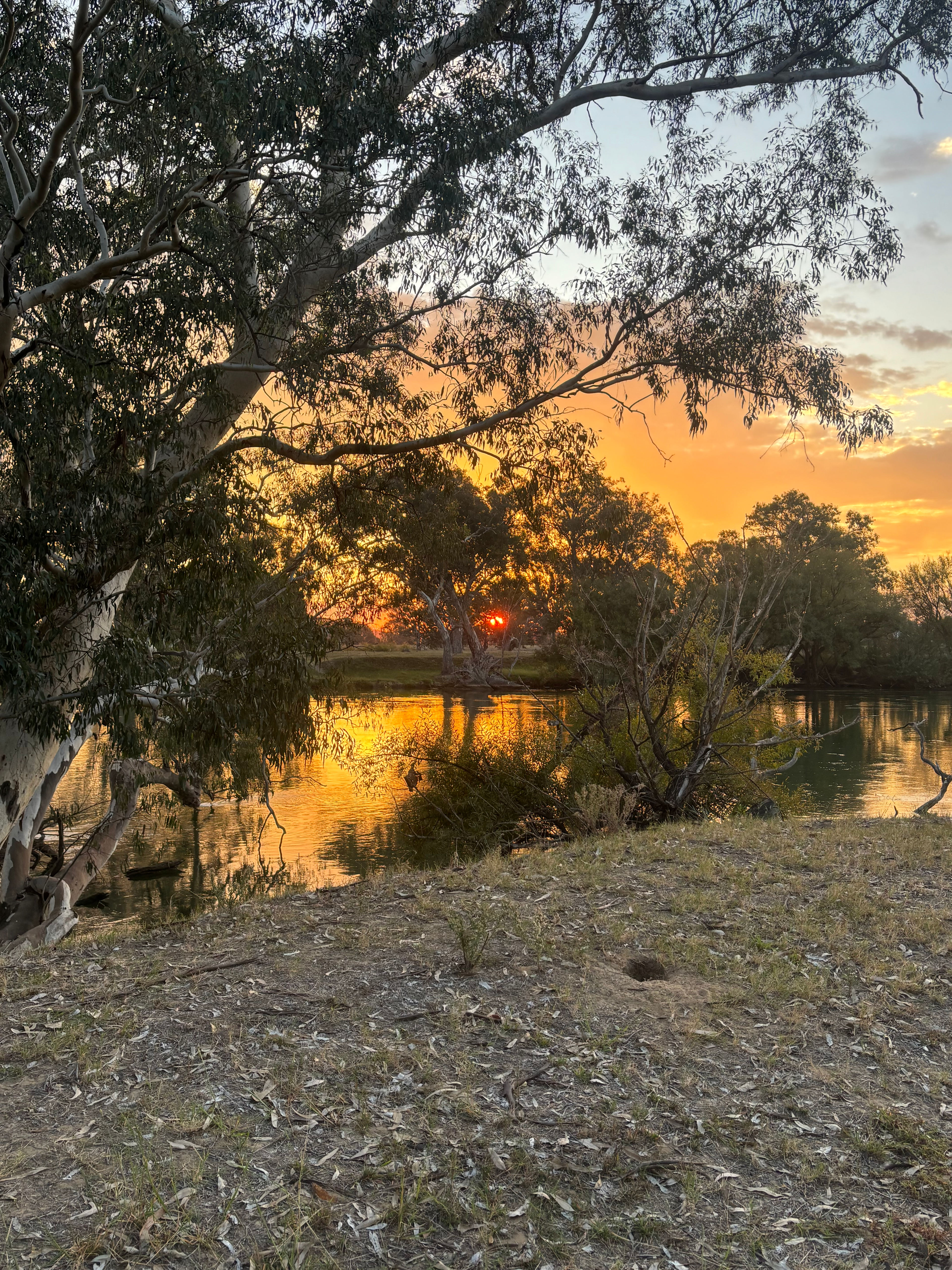 Rolling Hills & Riverside Camping