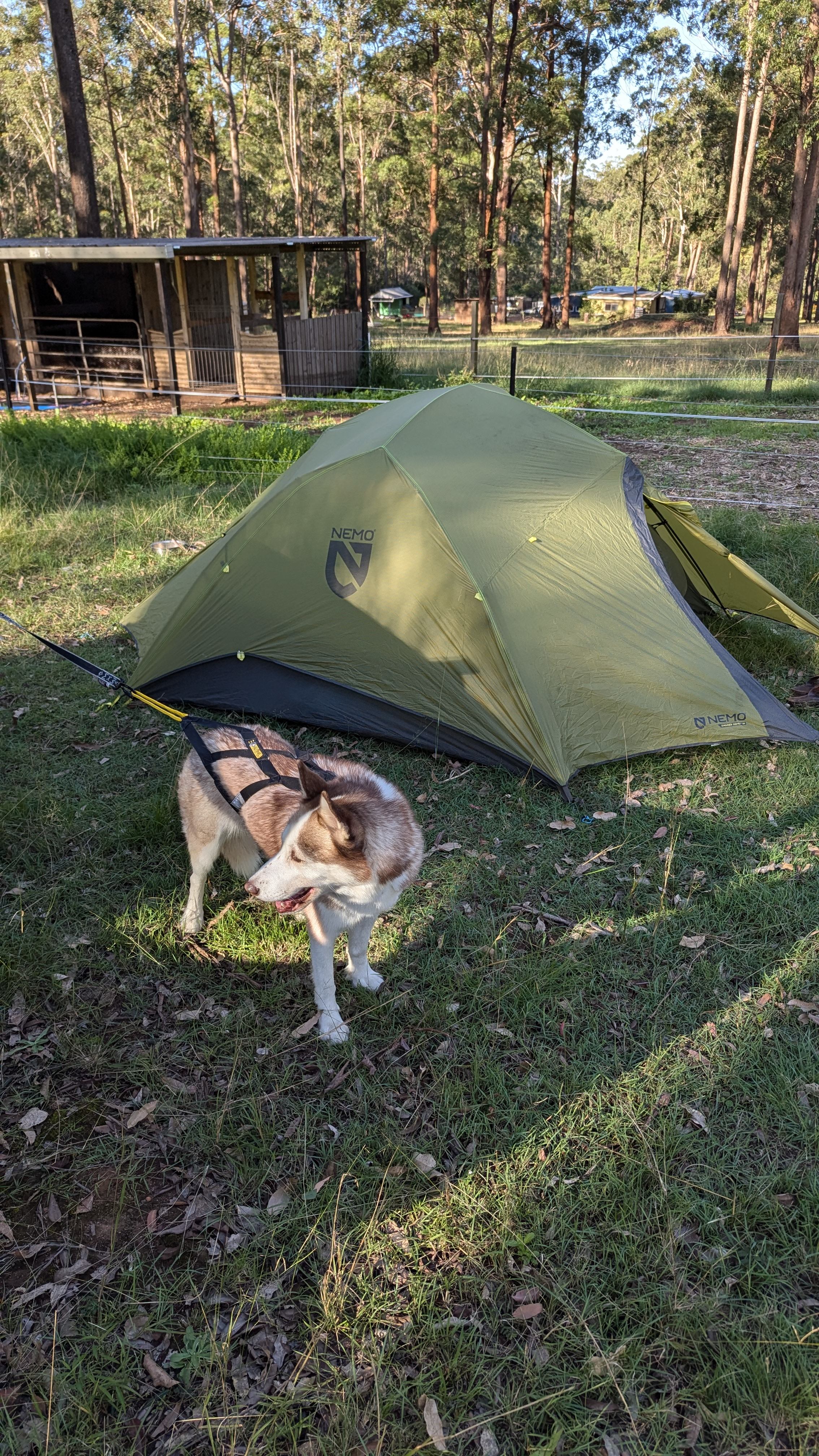 Blackbutt Permaculture Farm Camp