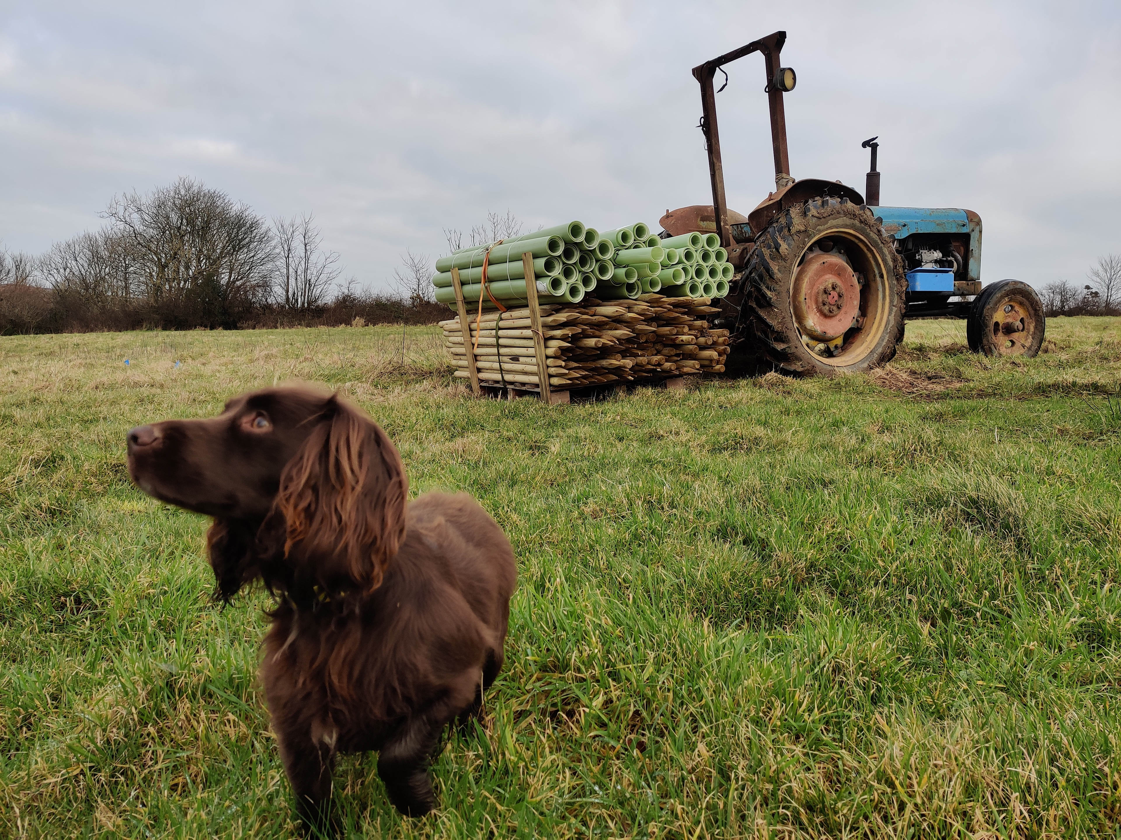 We are dog friendly! And can usually be found working in the fields 