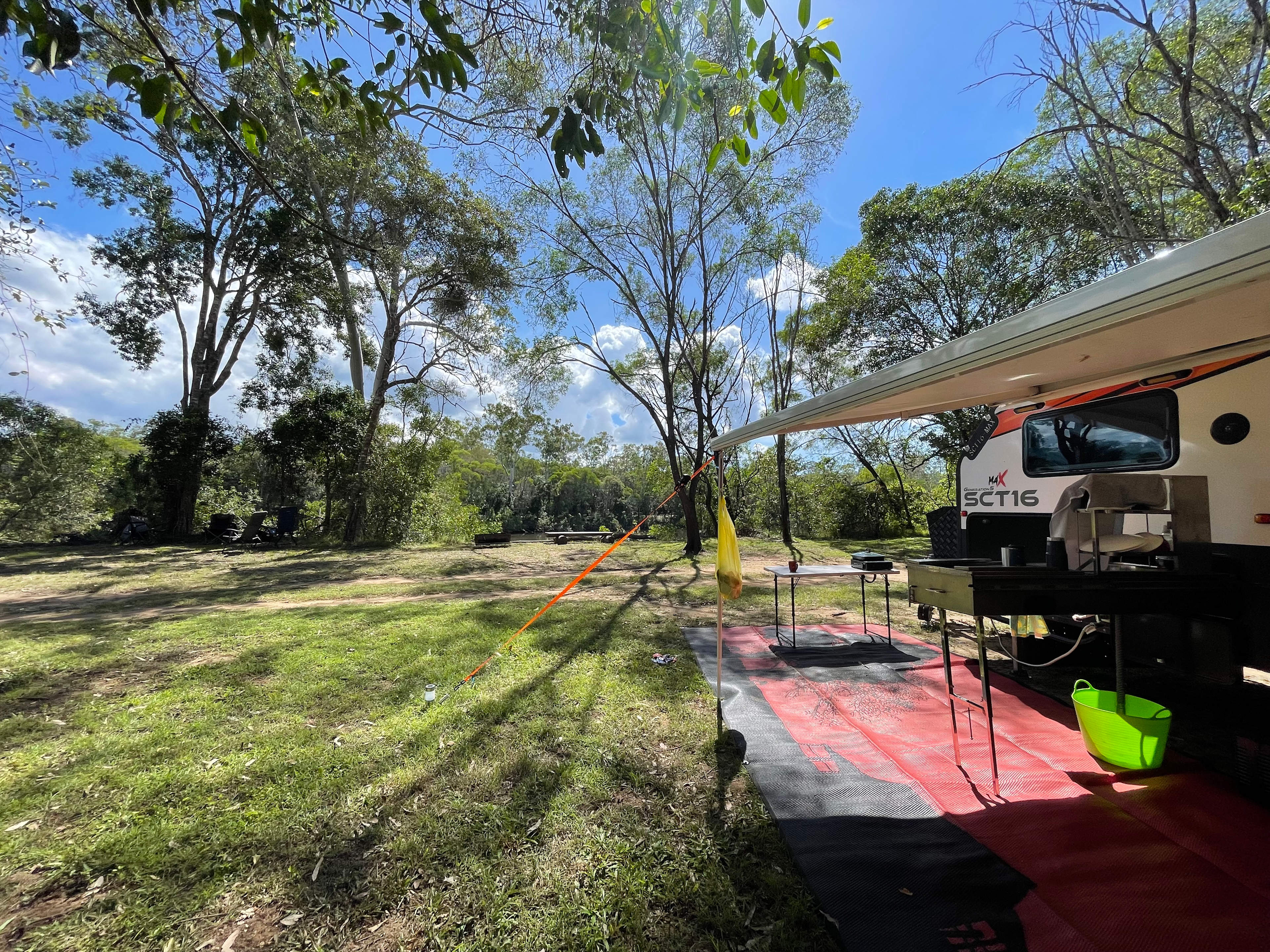 Kotuku on Oyster Creek