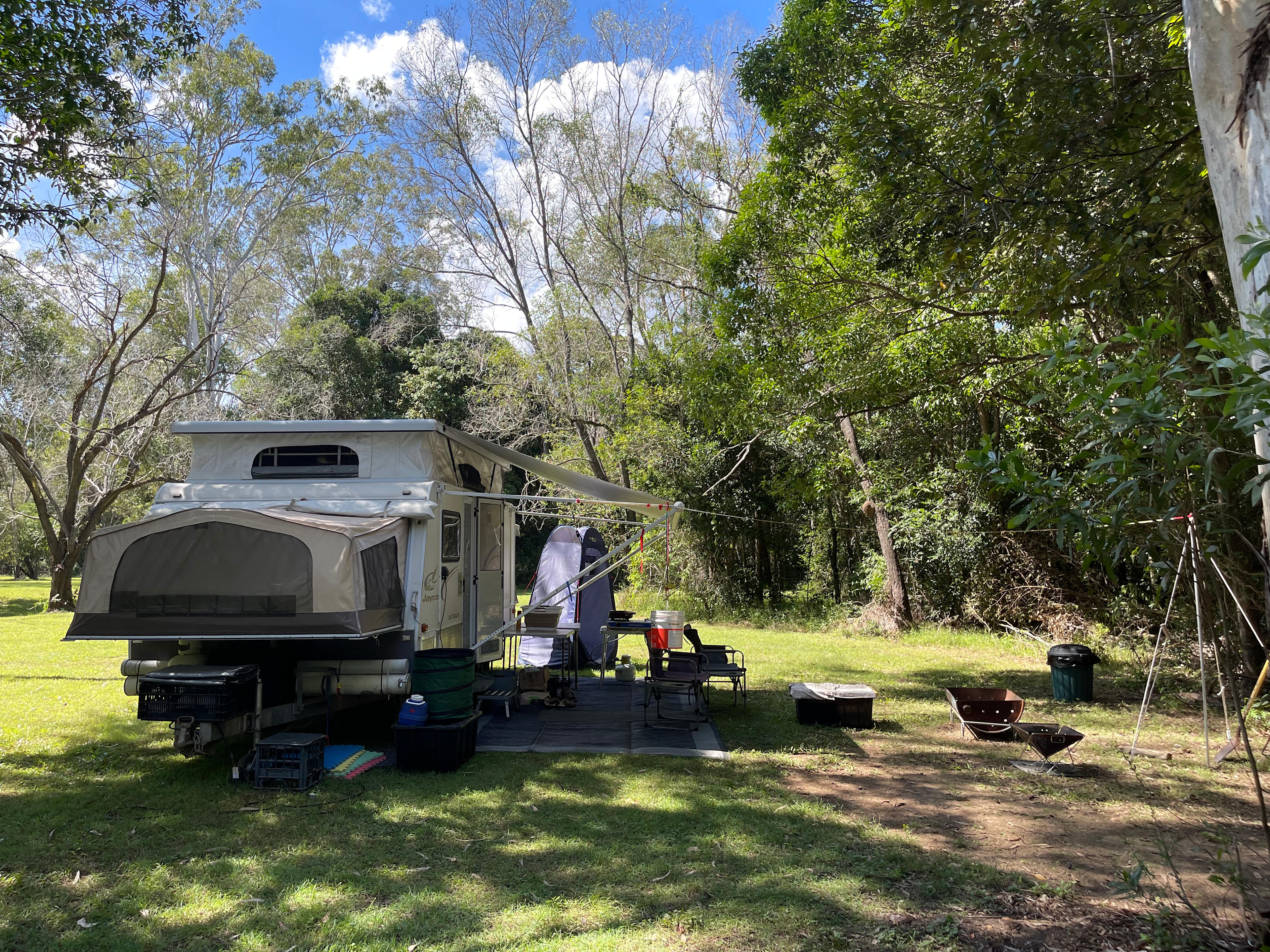 Kotuku on Oyster Creek
