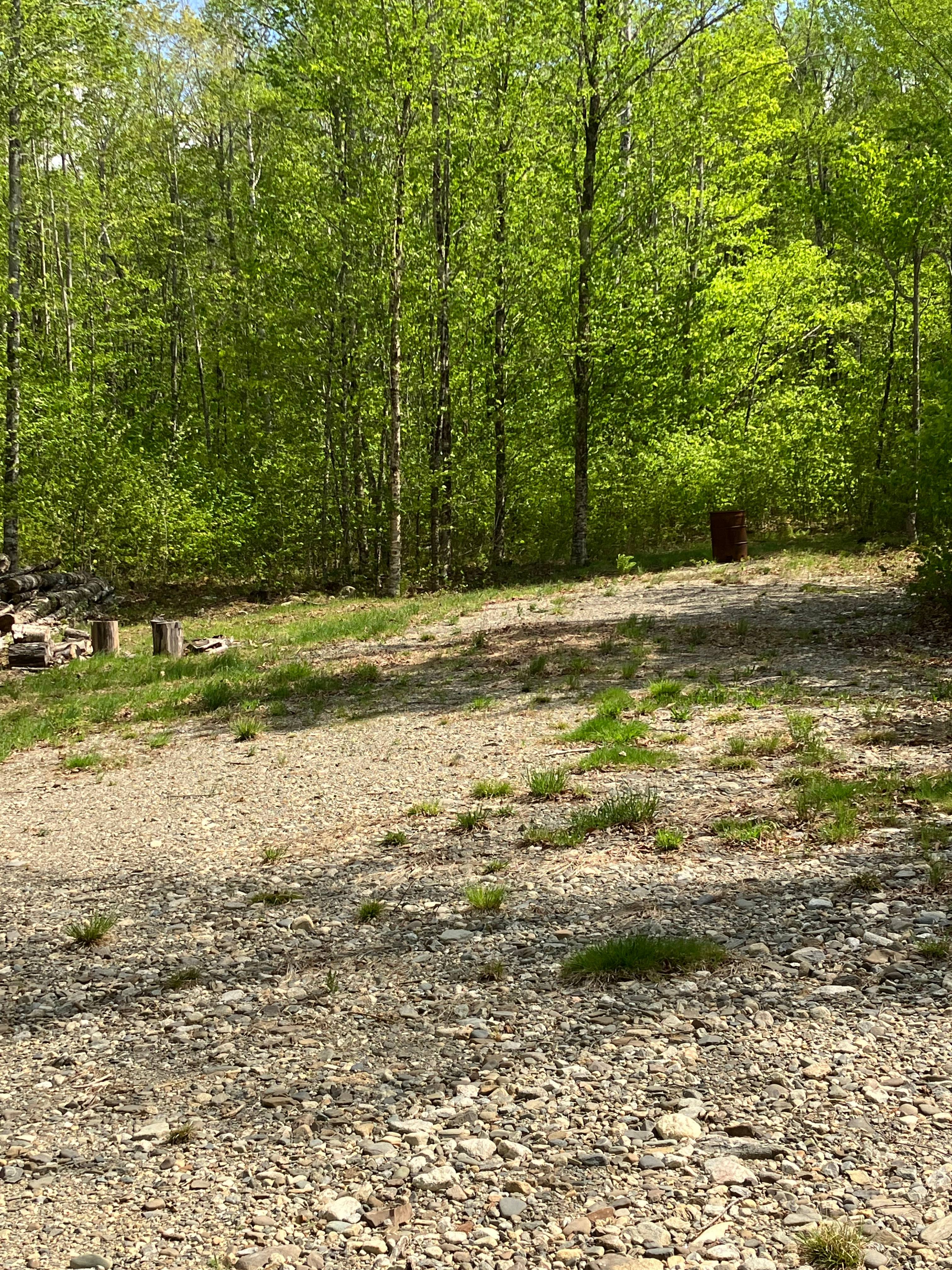 13 Acres/Off Grid/Branch Lake!