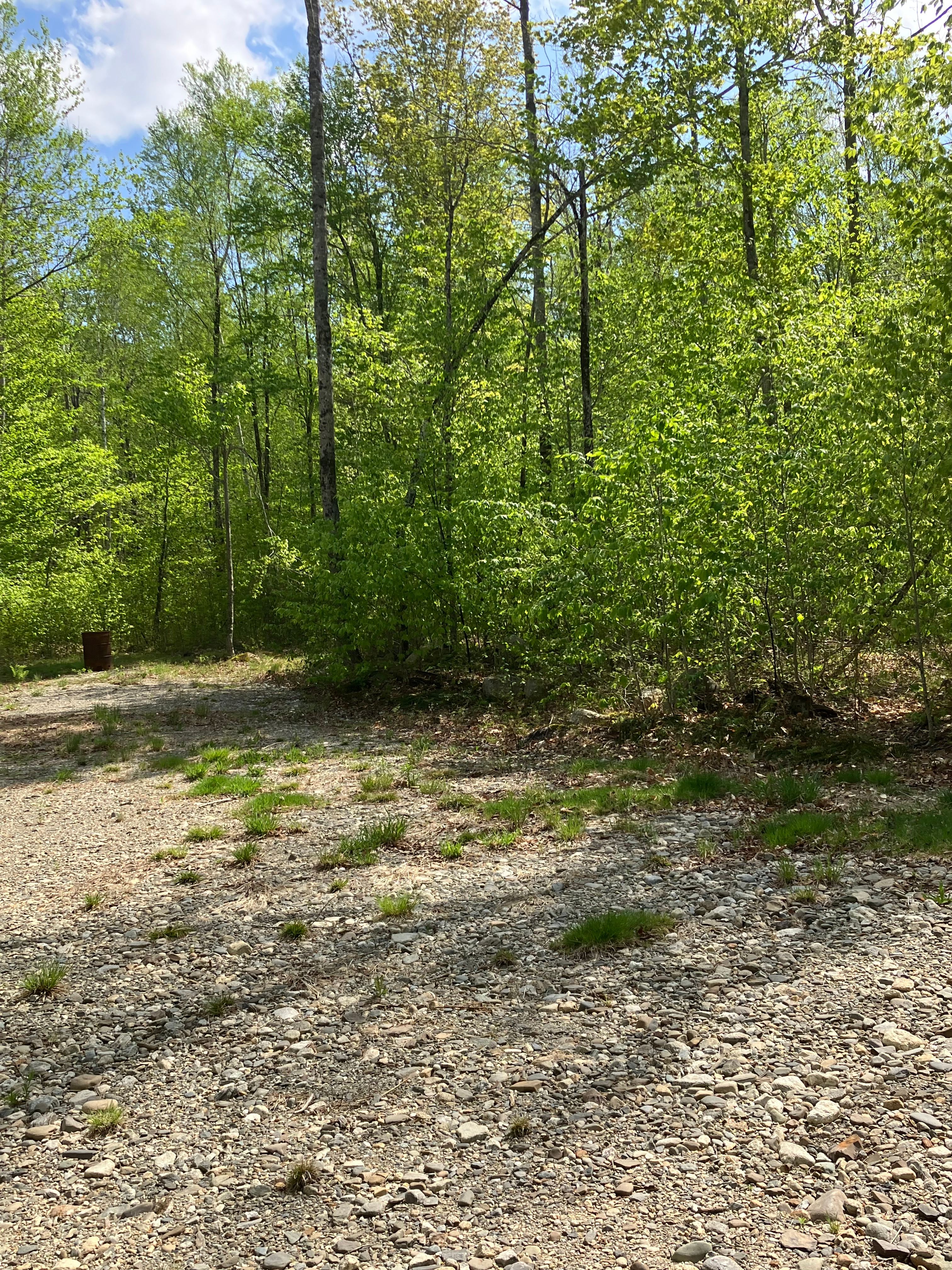 13 Acres/Off Grid/Branch Lake!
