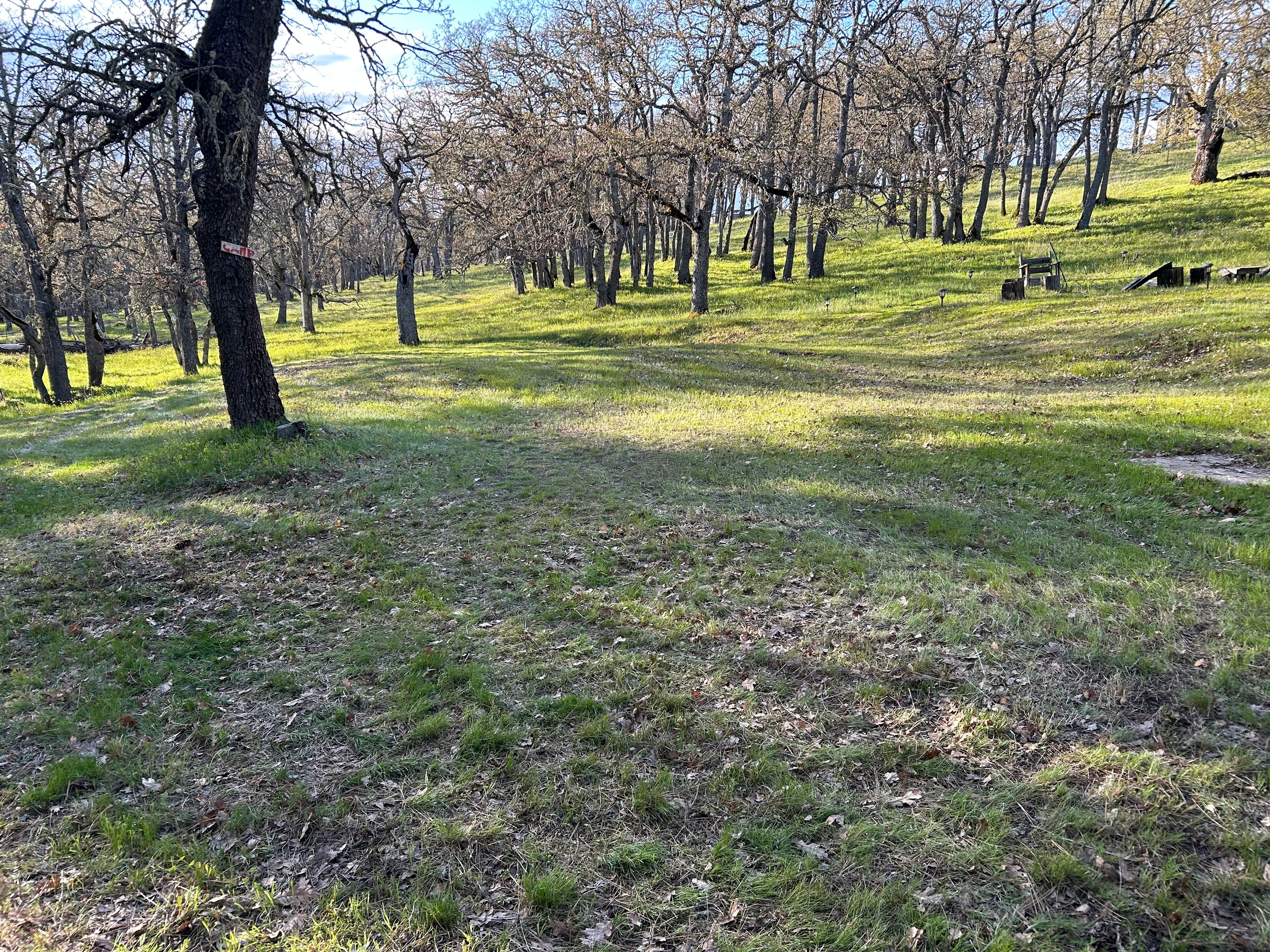 Site on your left when driving in; picture taken 6pm in April, it will be more shady in the summer; this is a pull in or back in site