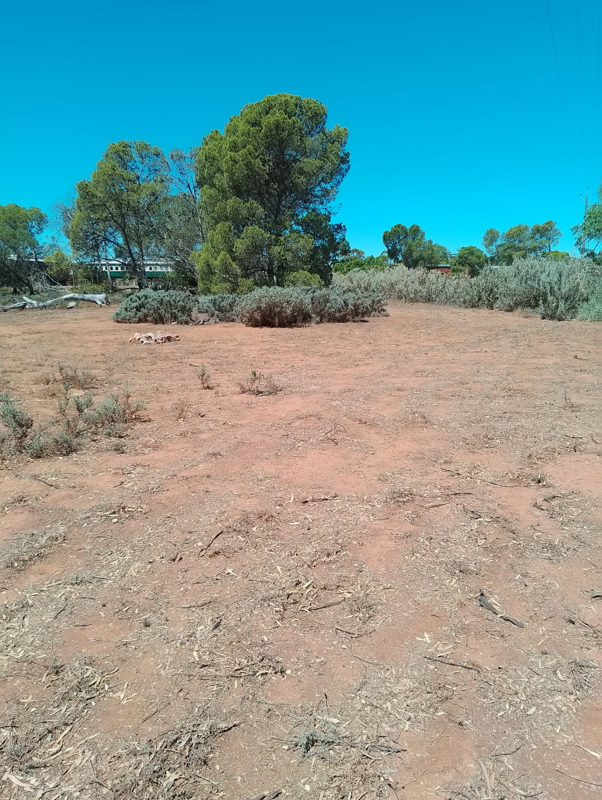 Willangi Bush Escapes