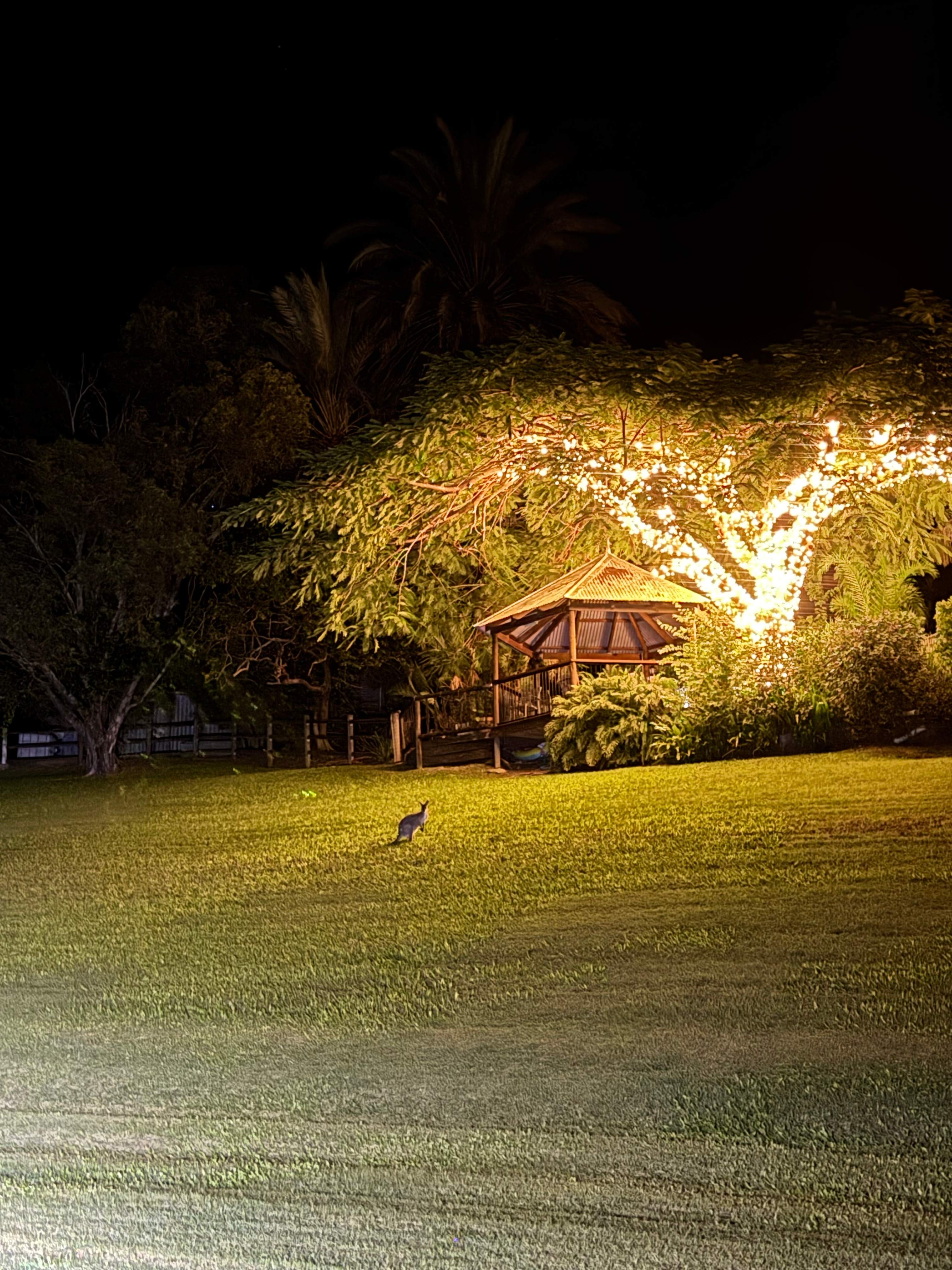 The Enchanted Paddock