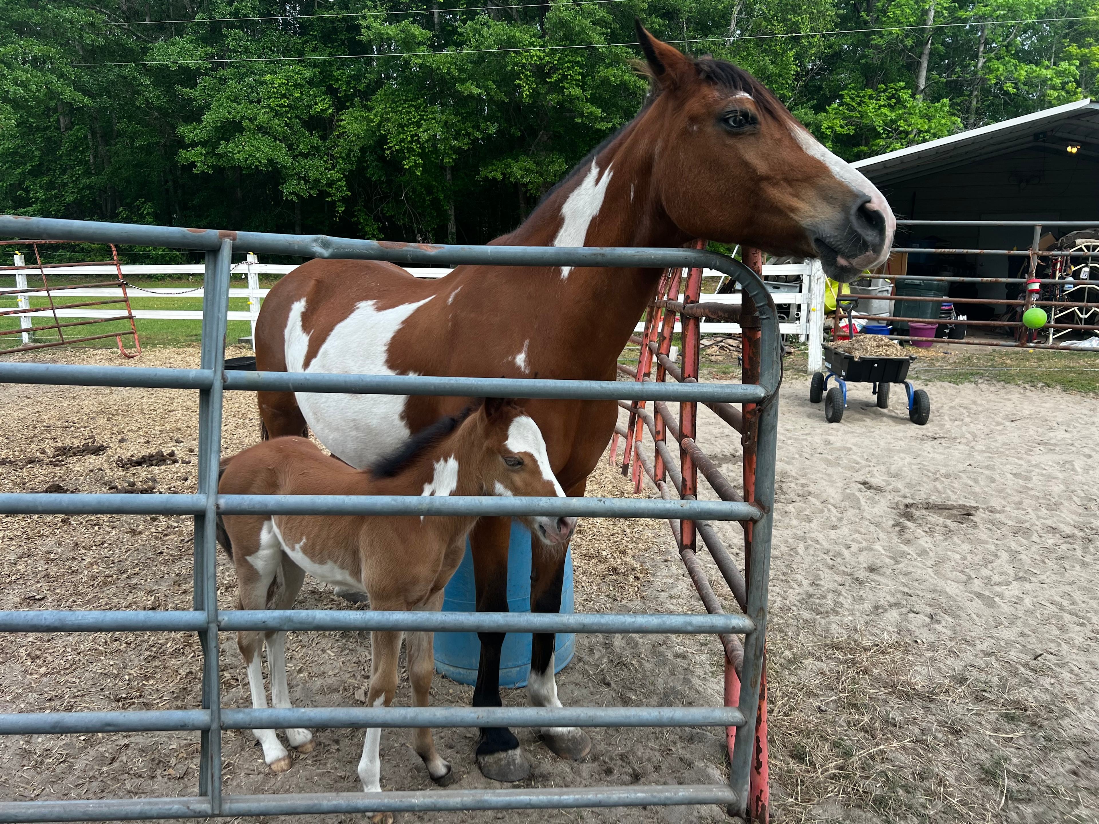 Bowen Farms