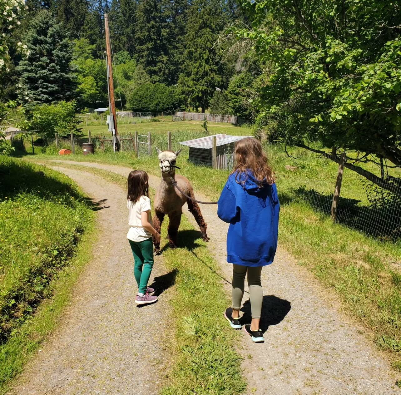 Whidbey Island Wild Sanctuary