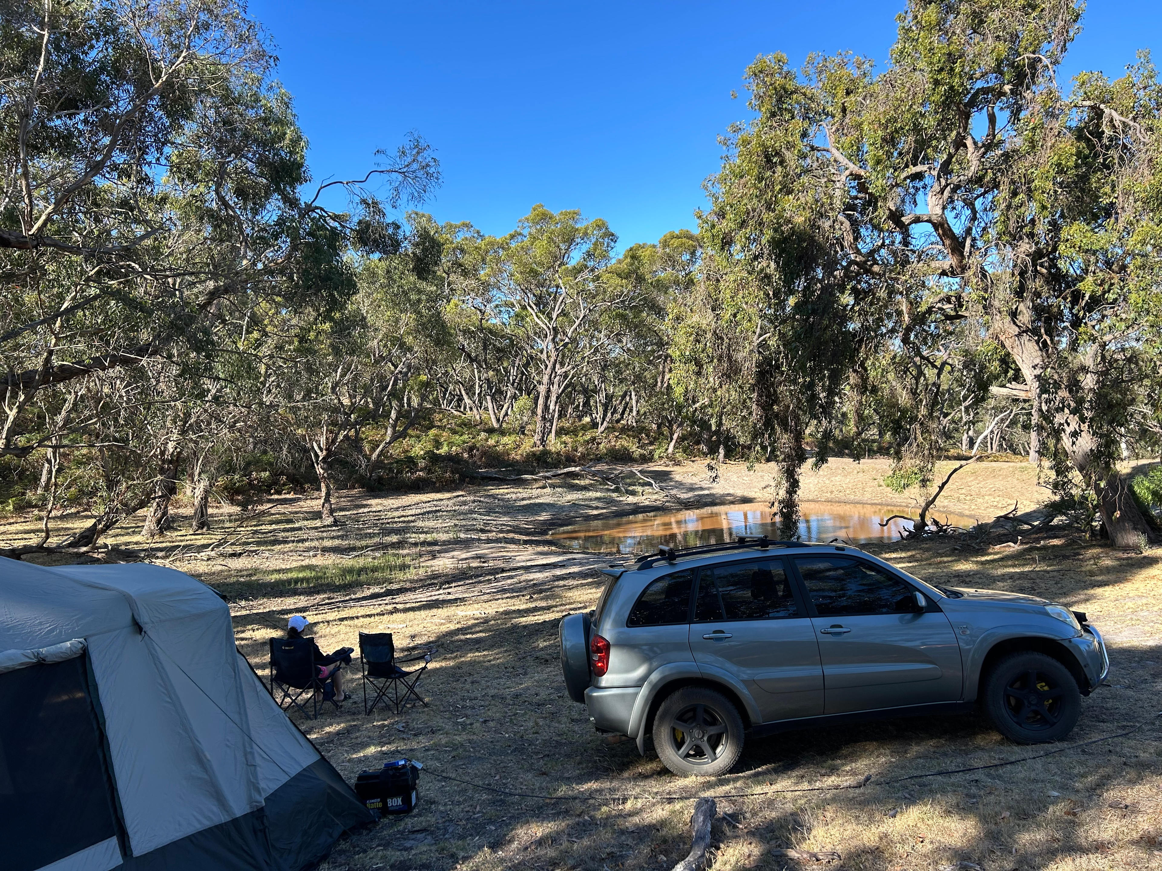 Drifting Sands Quarter Horses