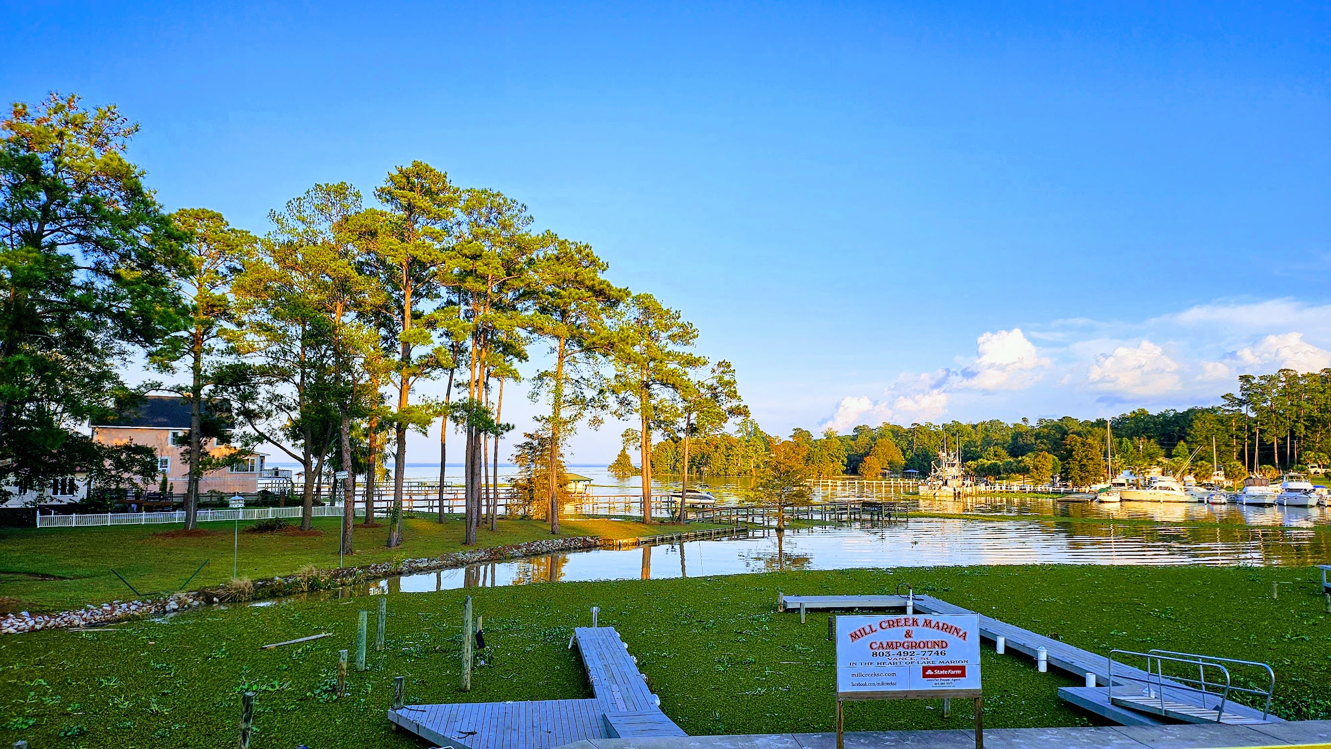 Mill Creek Marina and Campground