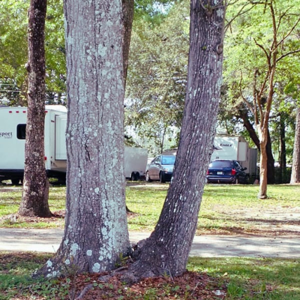 Little River RV Campground
