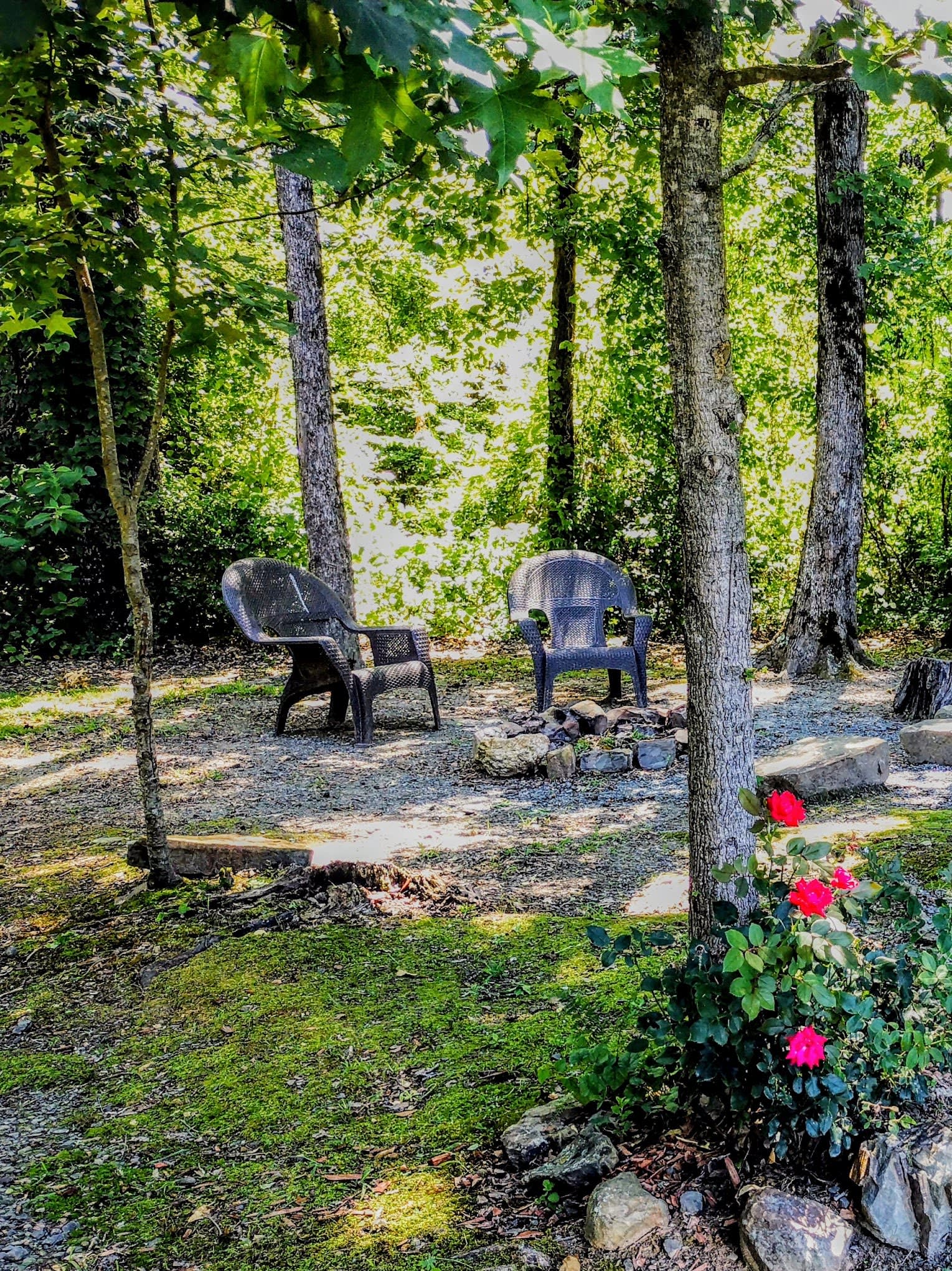 Cossatot River RV Park-Cabins