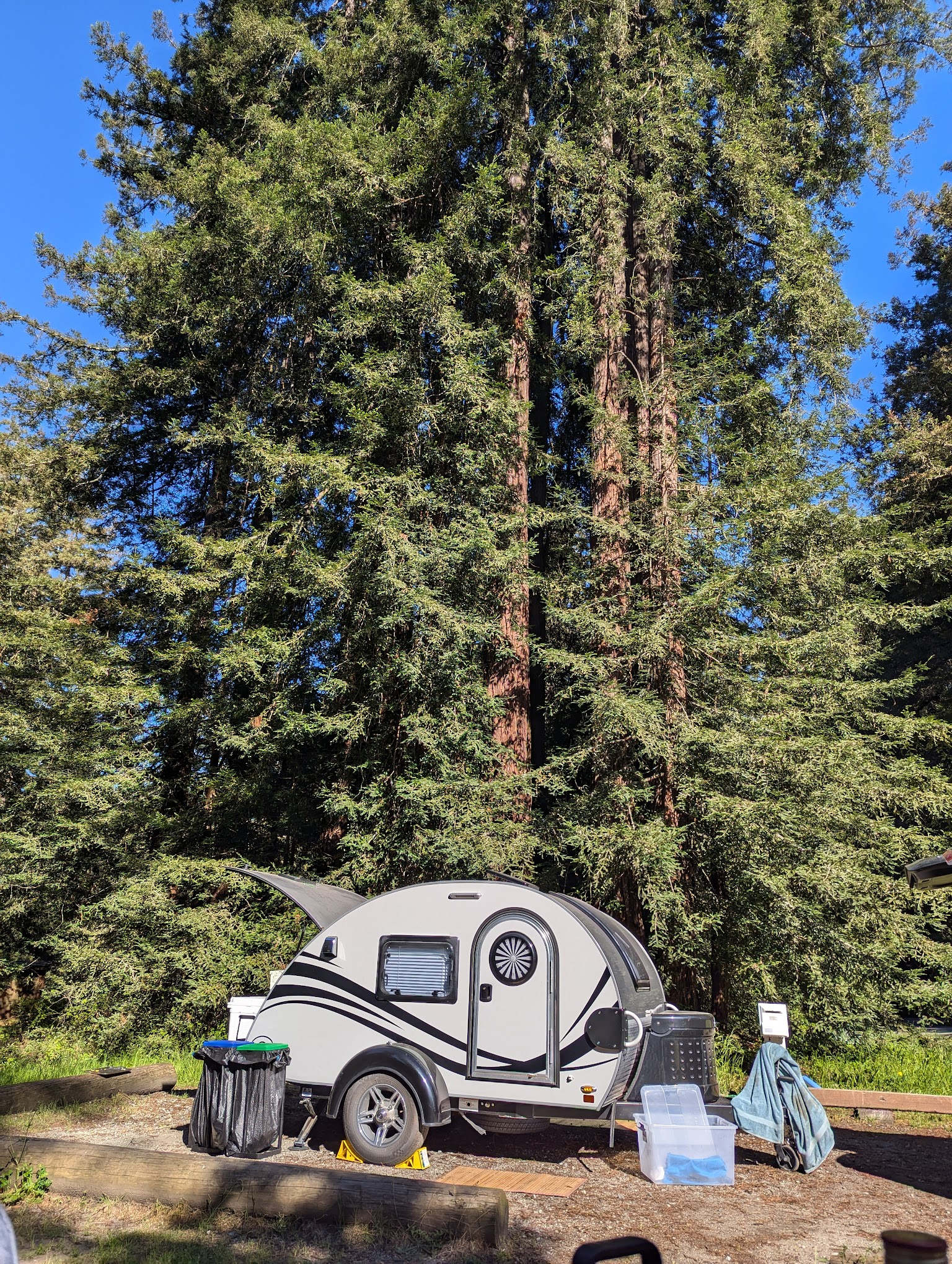 Mt Madonna County Park