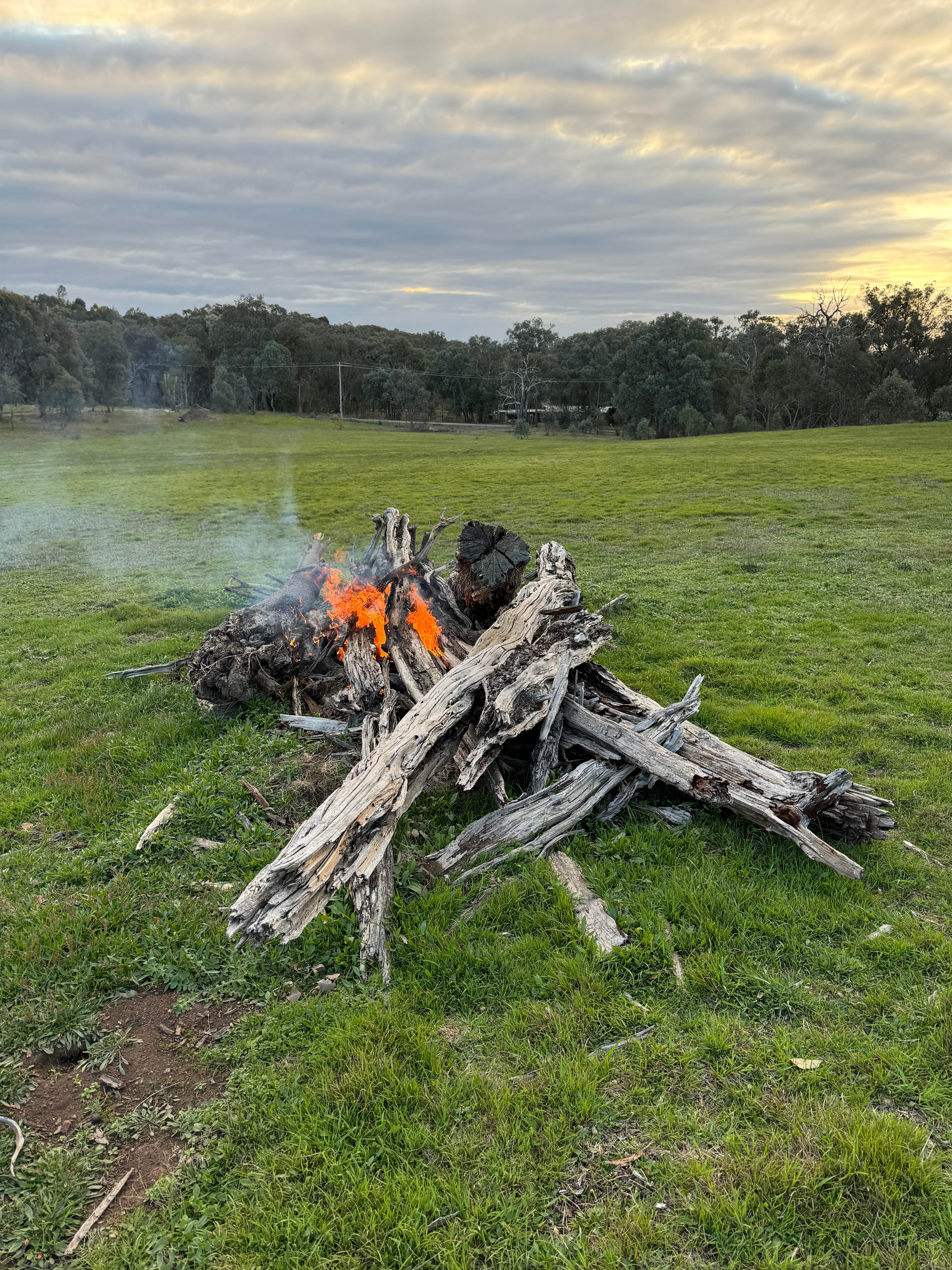 Everton Hills Estate