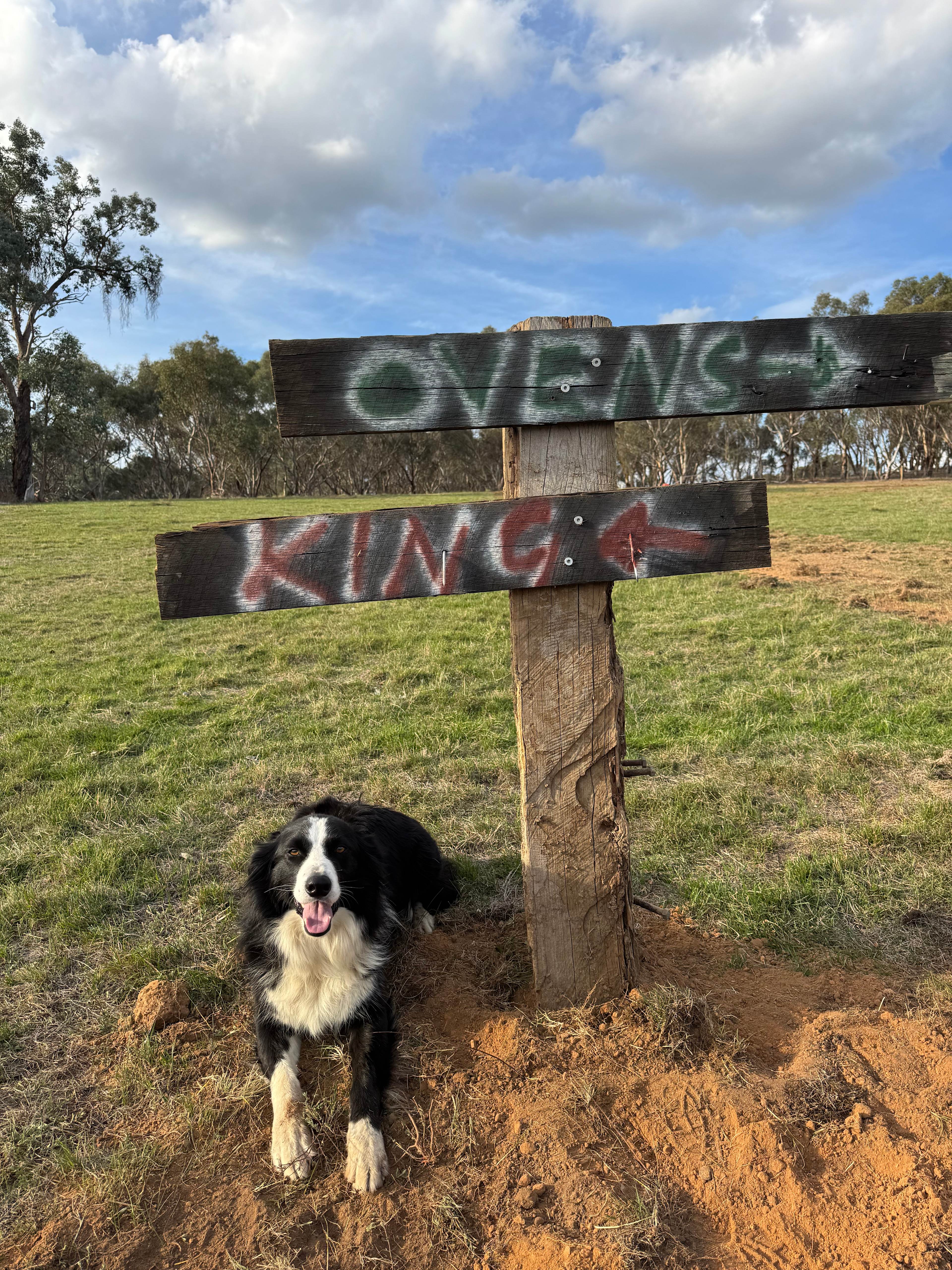 Everton Hills Estate