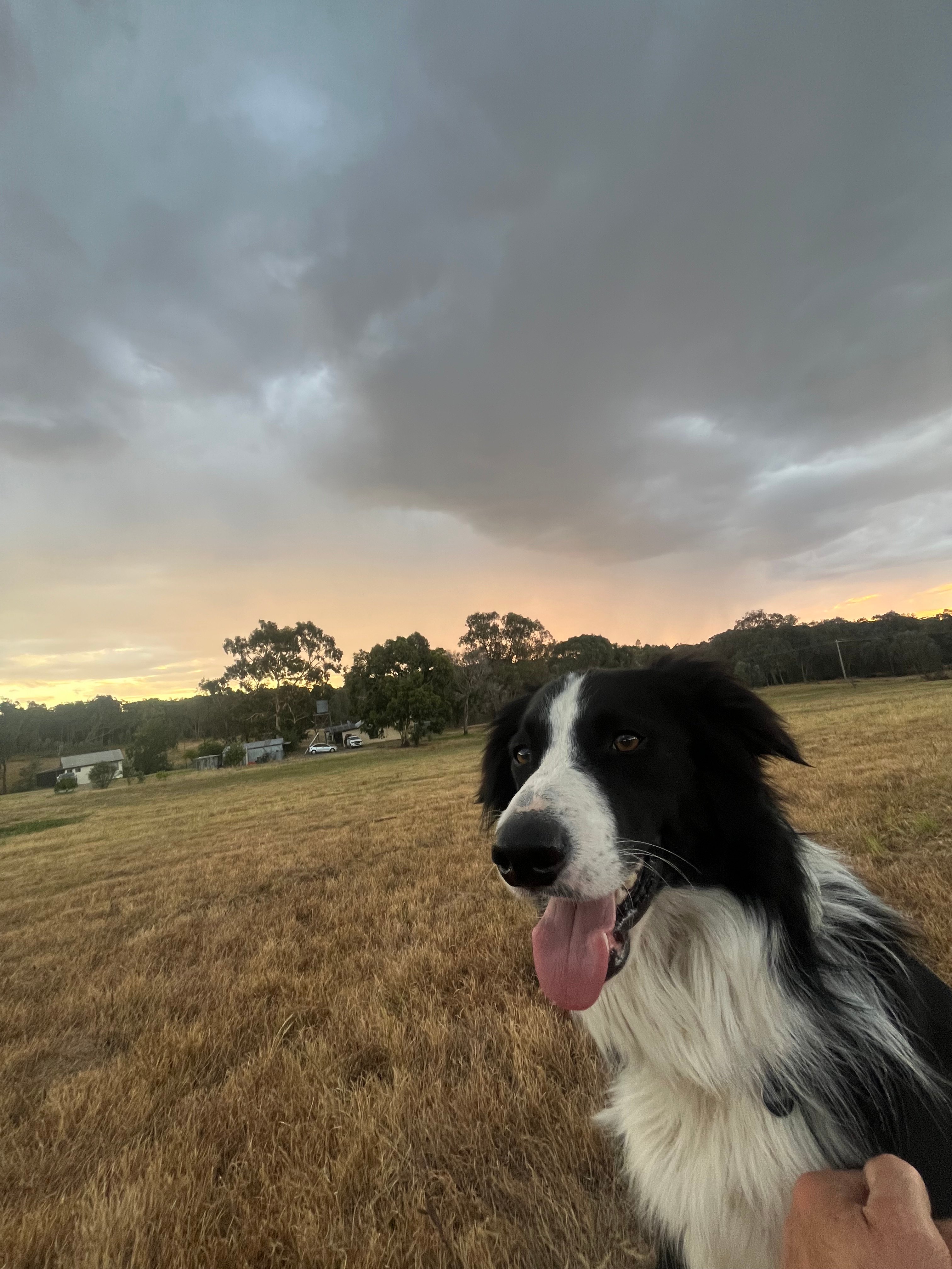 Everton Hills Estate