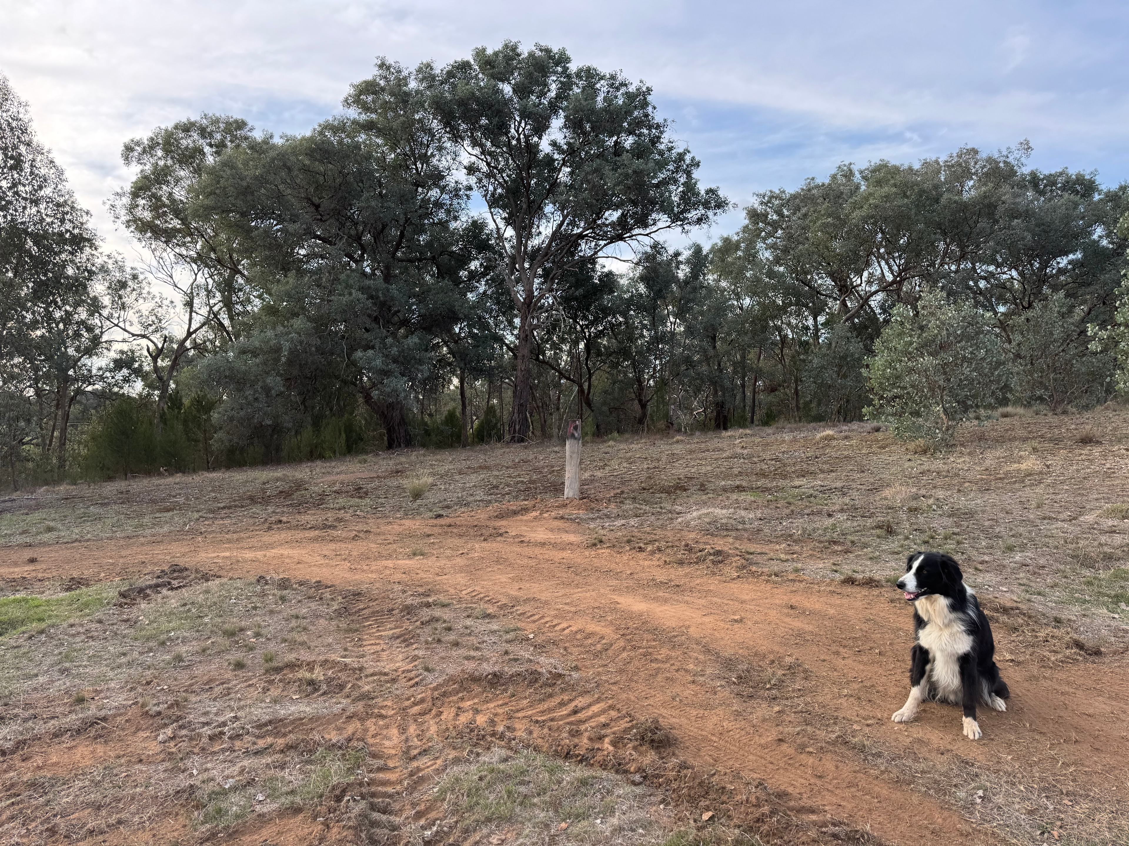 Everton Hills Estate