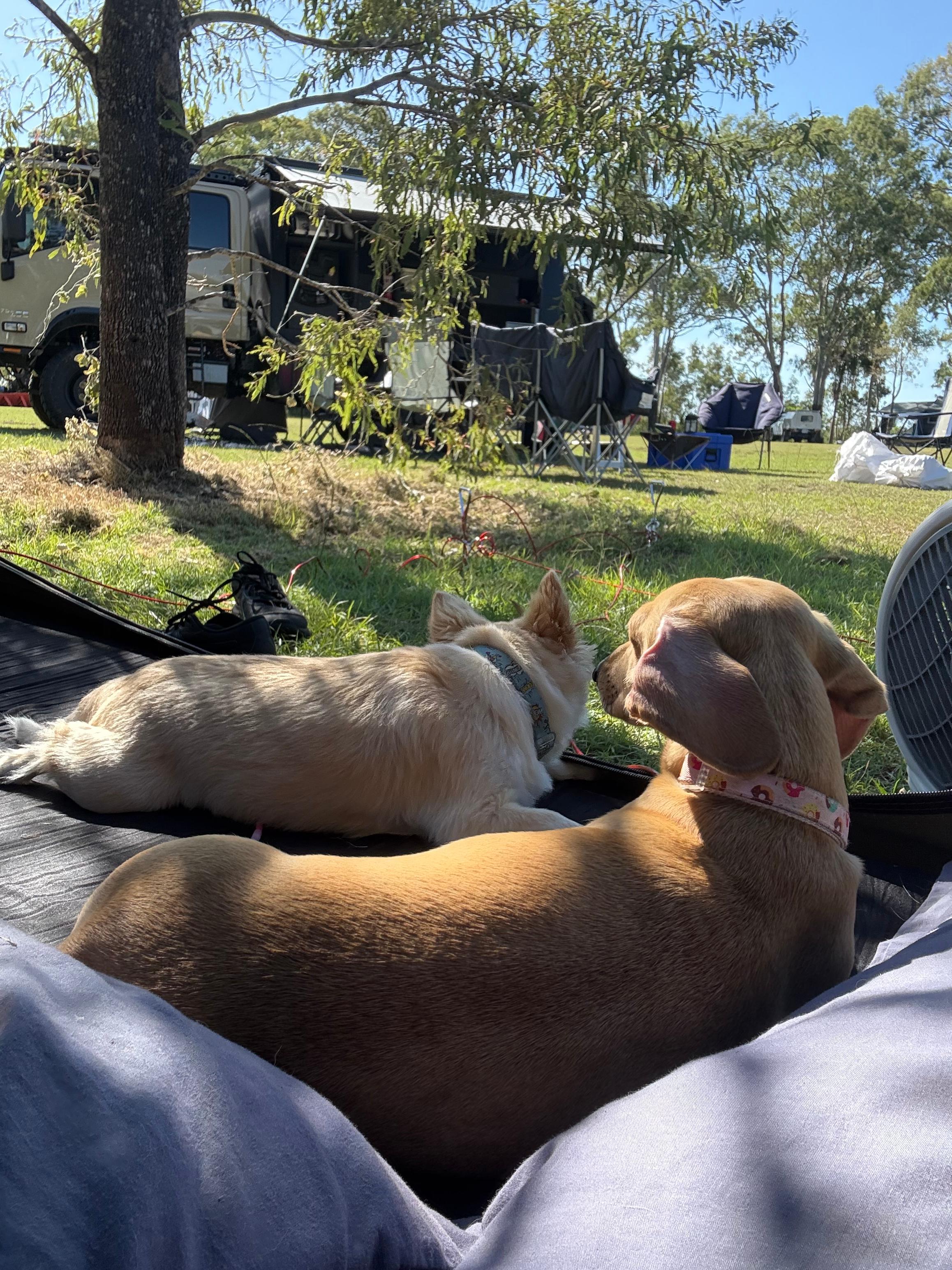 Riverside Burrum Heads