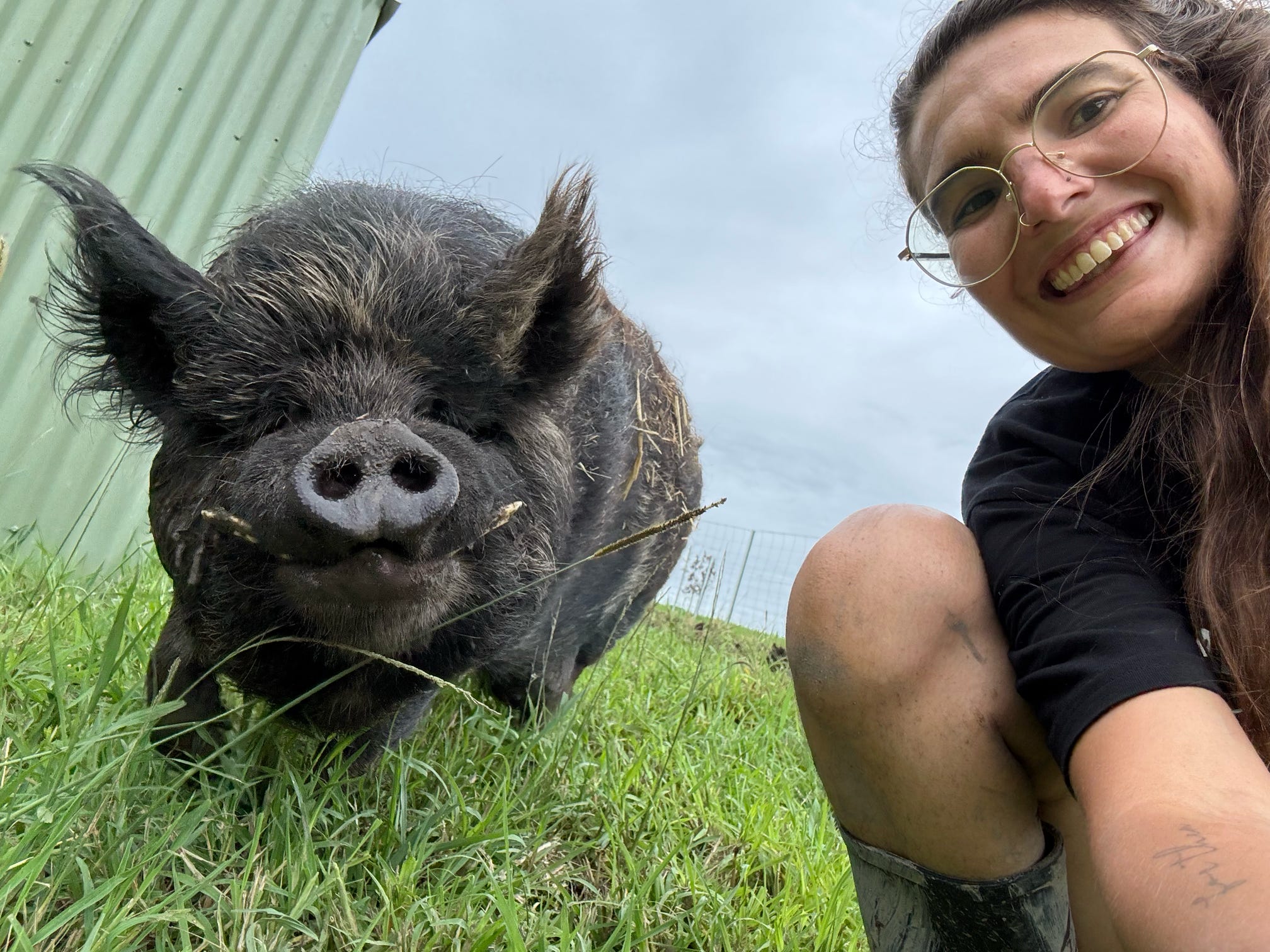 Luckystars Sanctuary