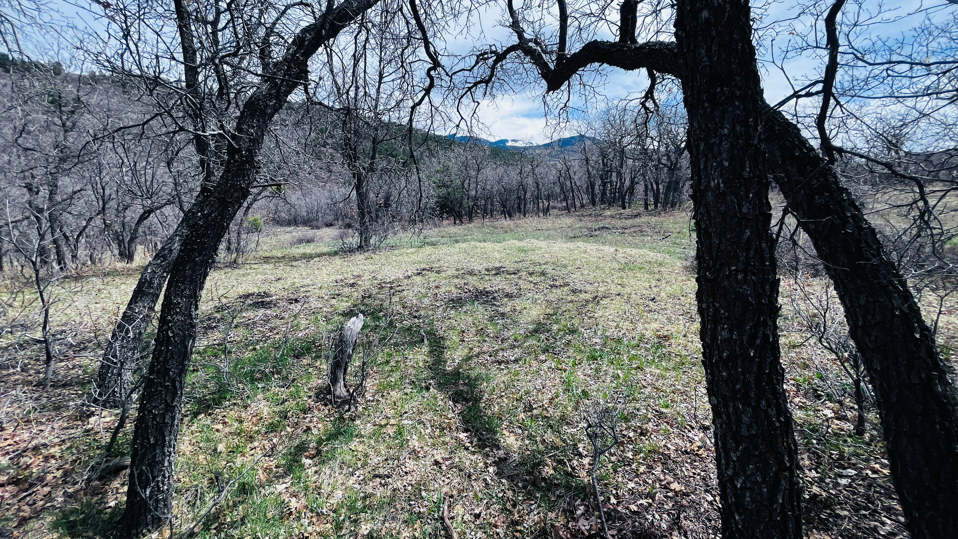 Hartwork Ranch
