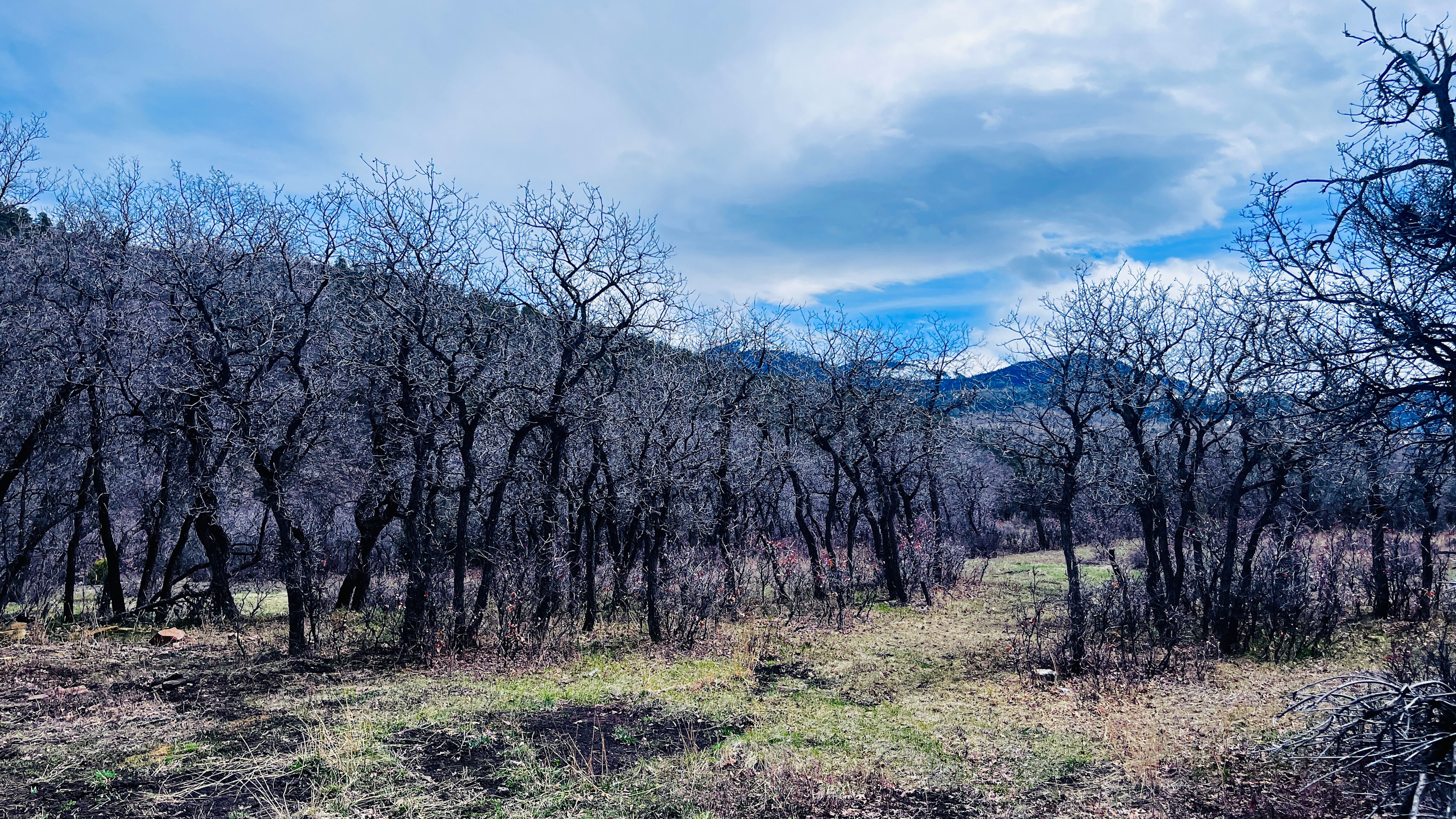 Class B/ 4x4 or up to 25ft RV with 4x4 campsite. 