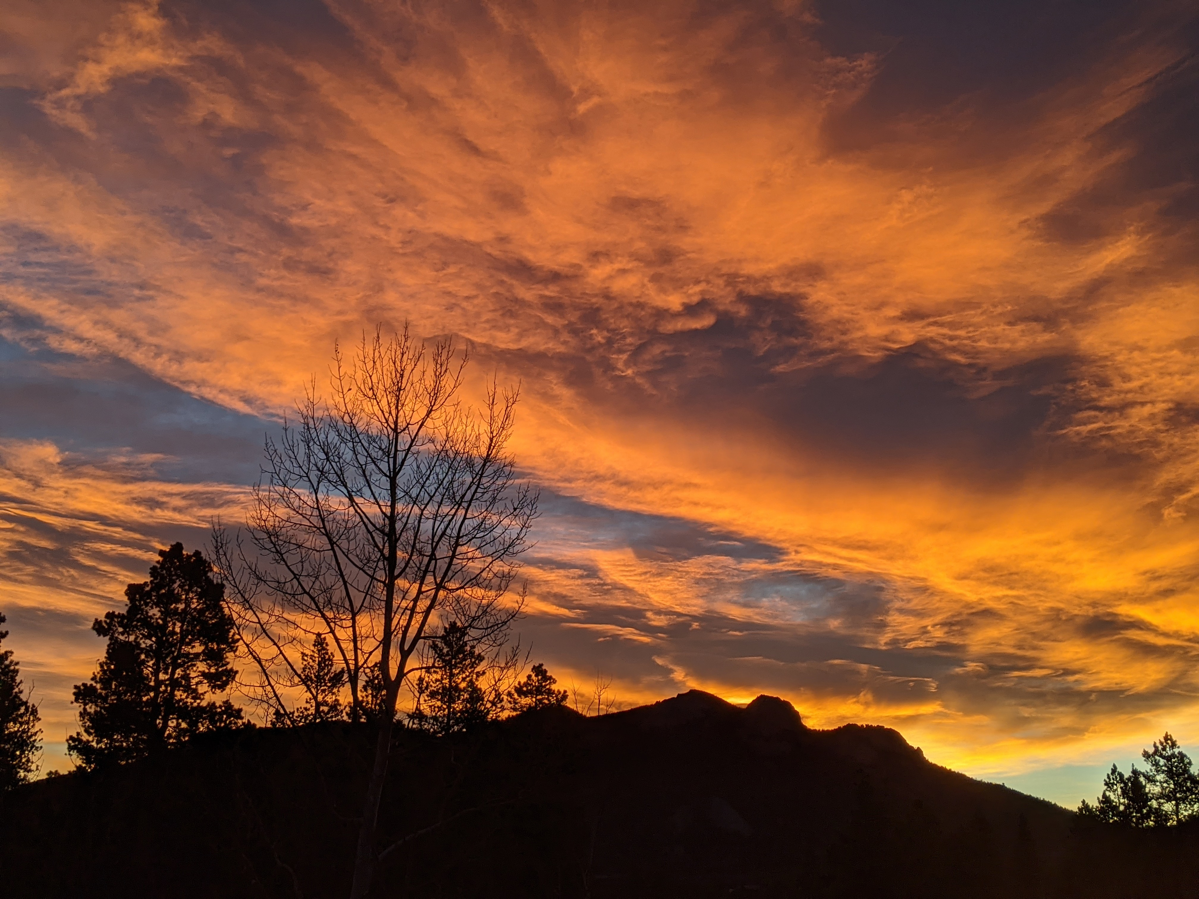 View from the top of the driveway