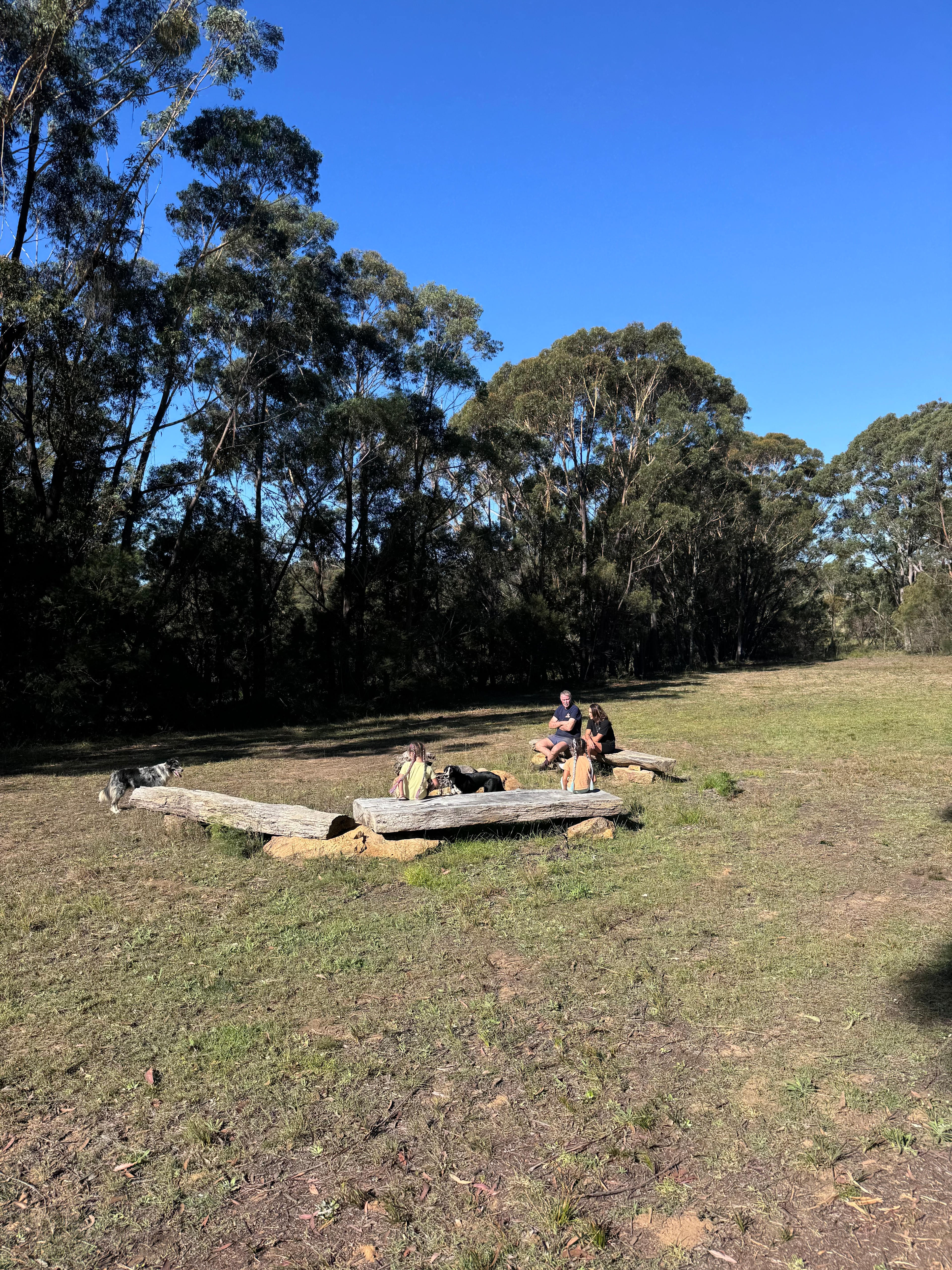 Old Forty Pumpkin Farm