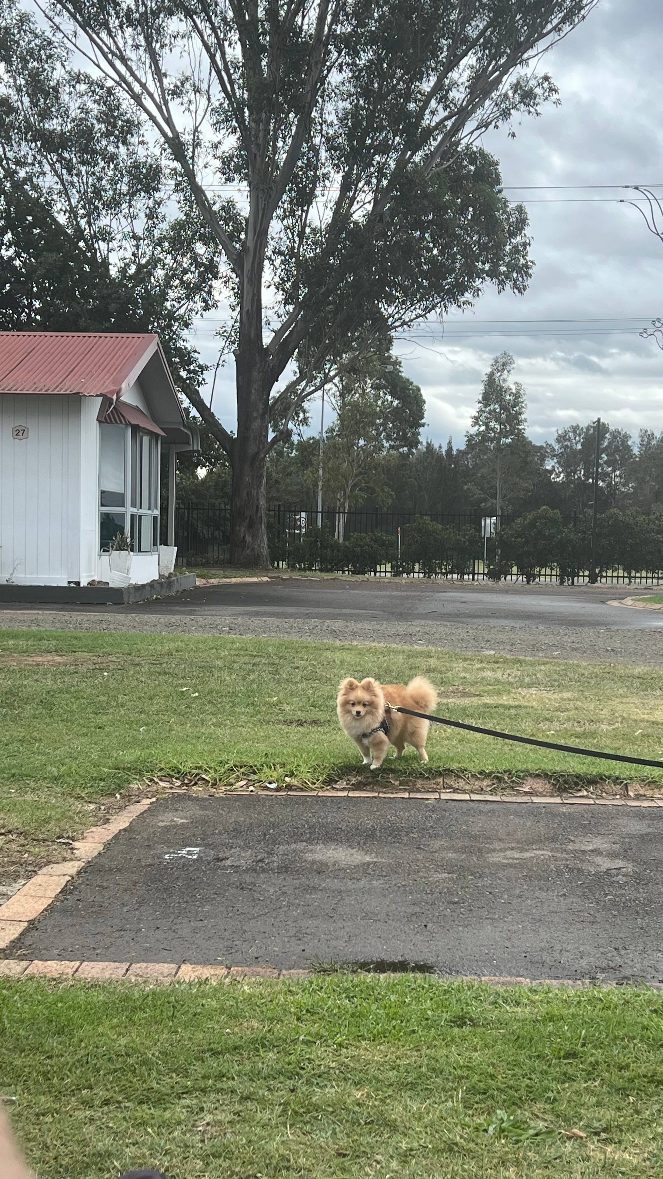 Ingenia Holidays Hunter Valley